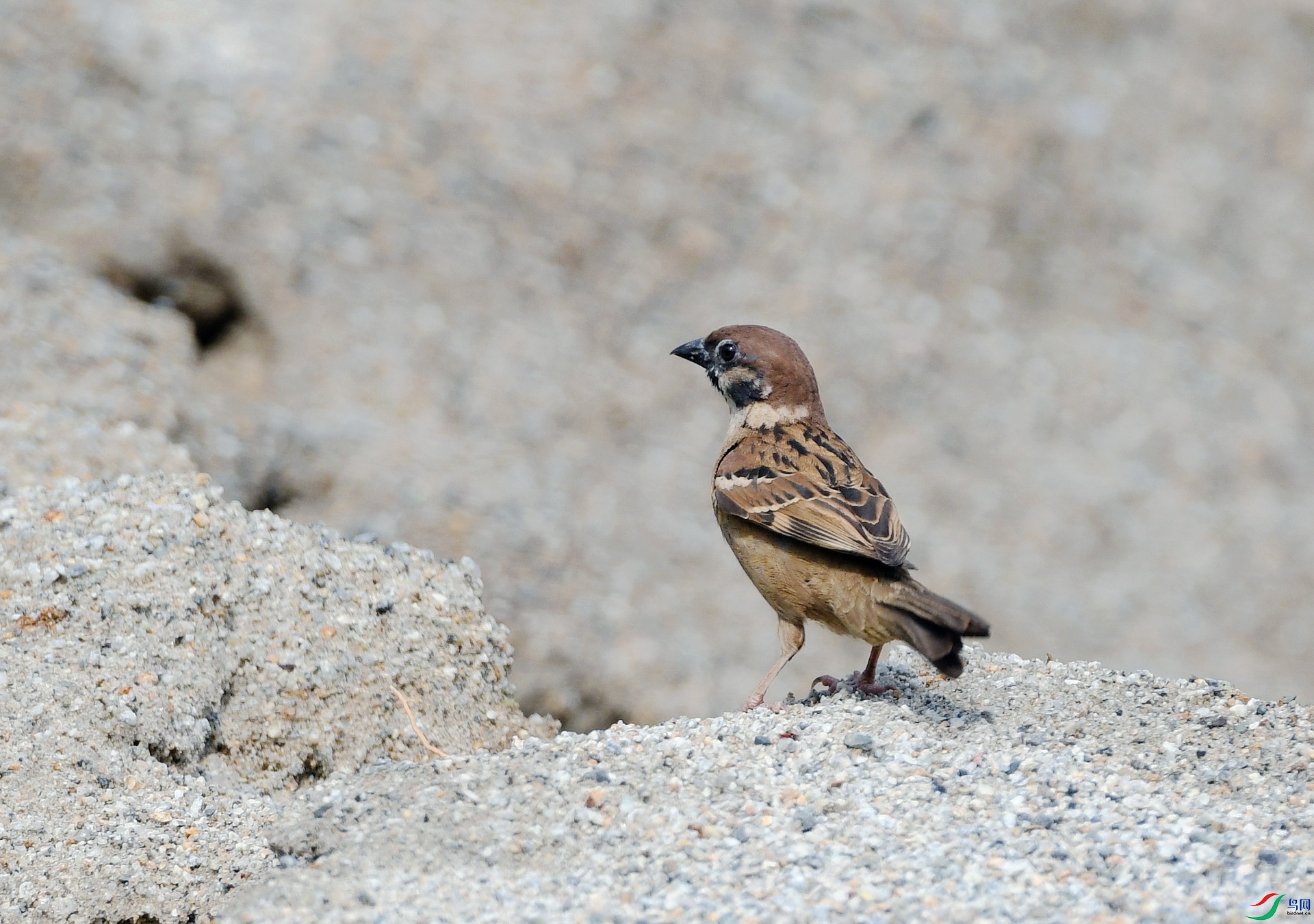 DSC_1903.jpg