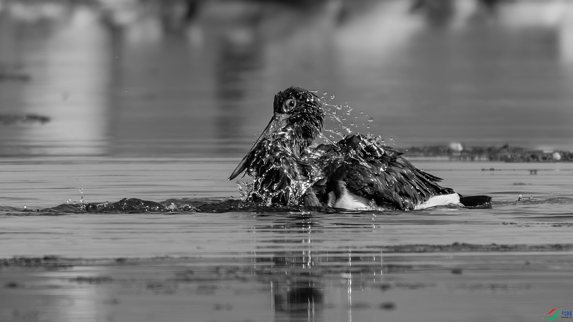 DSC_8181-20260421�ü� .jpg