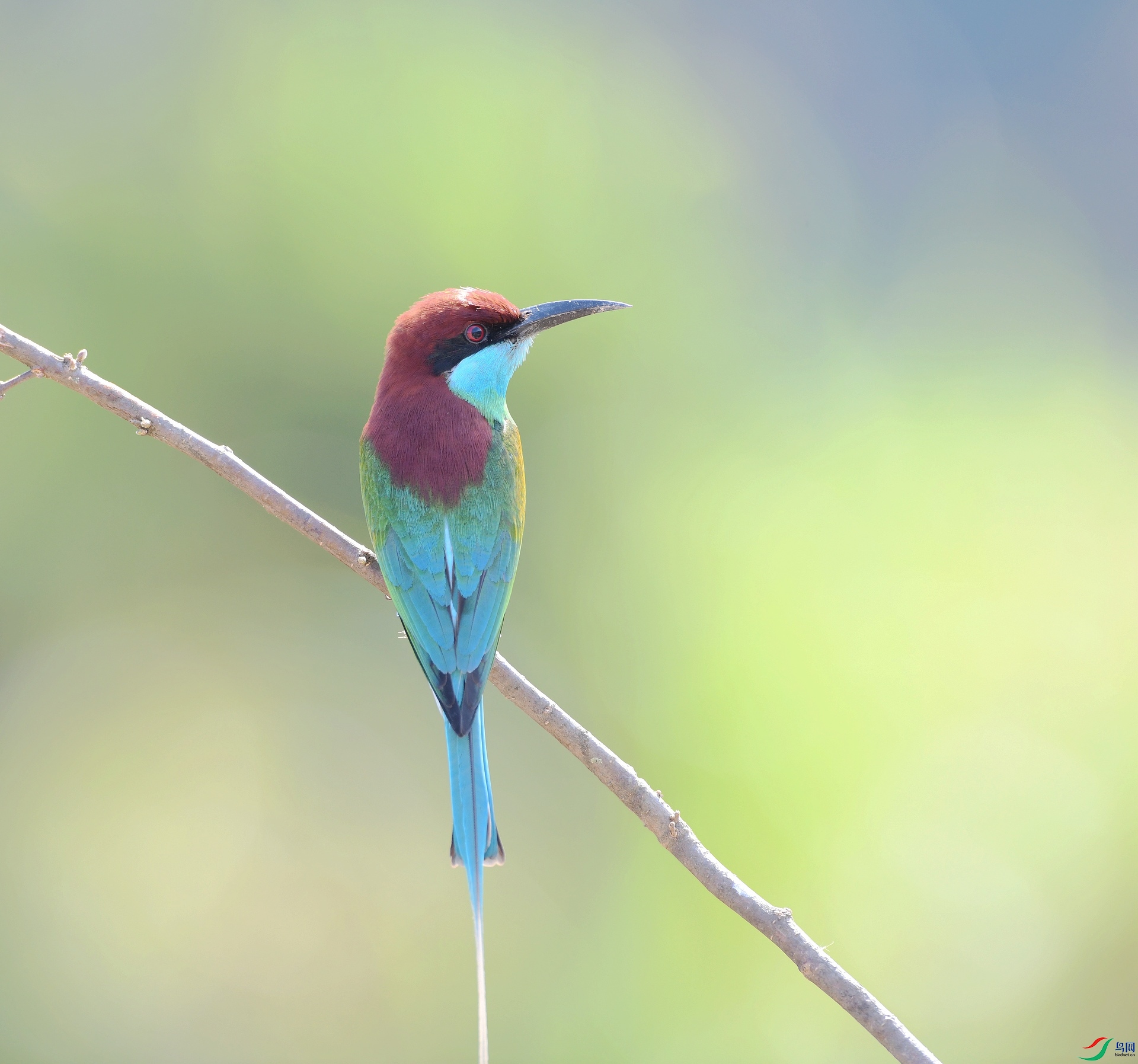 DSC_1329.jpg