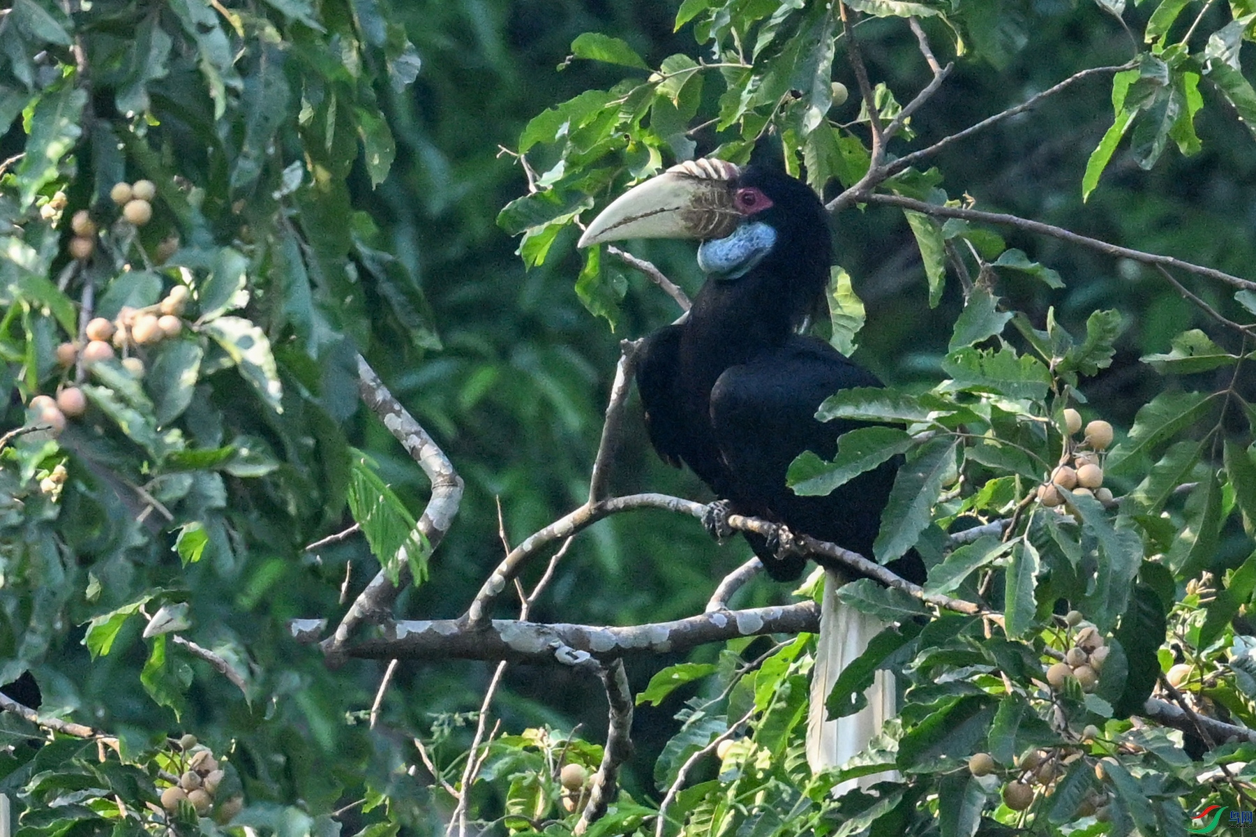 DSC_5184.JPG