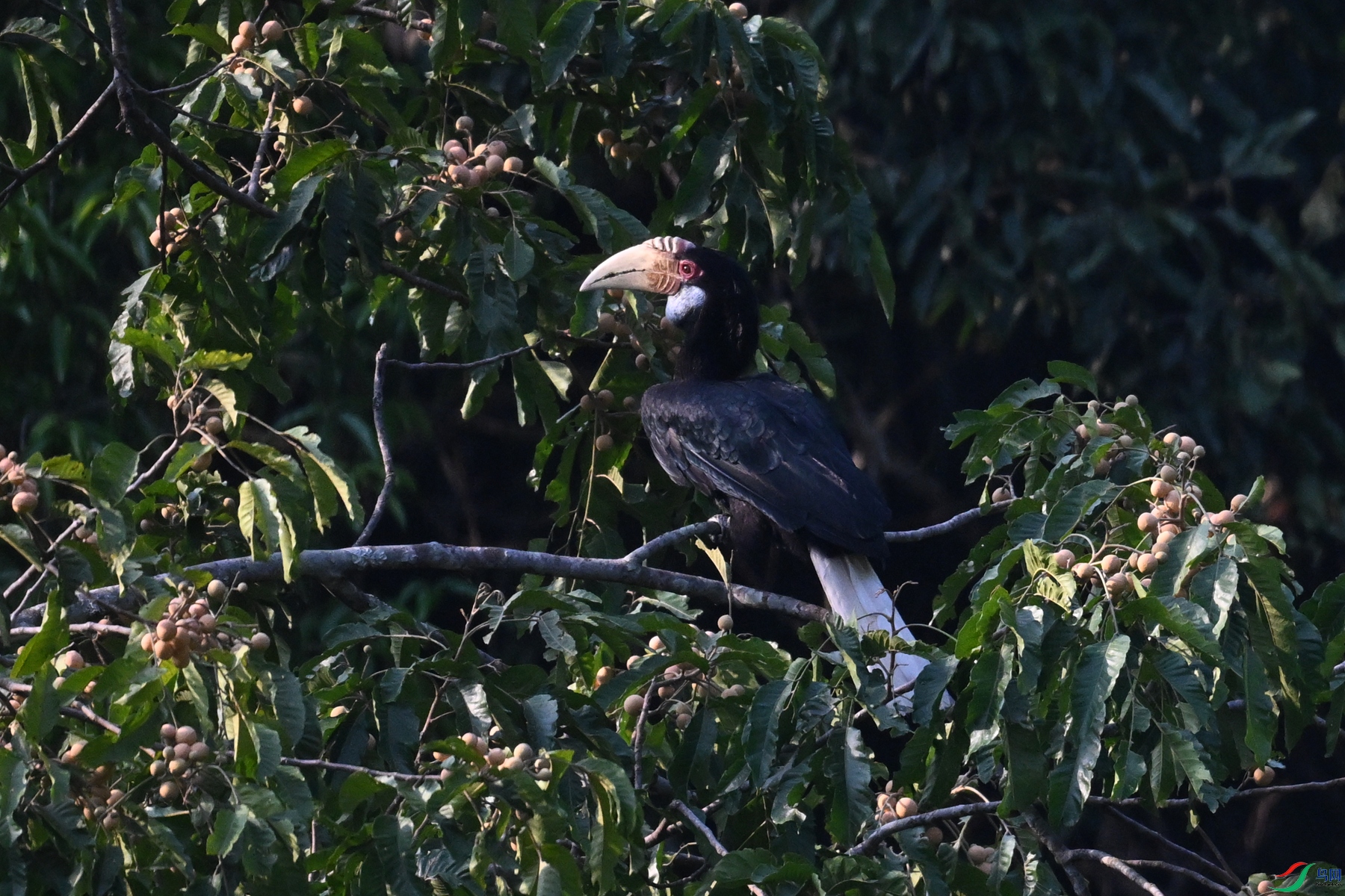DSC_5224.JPG