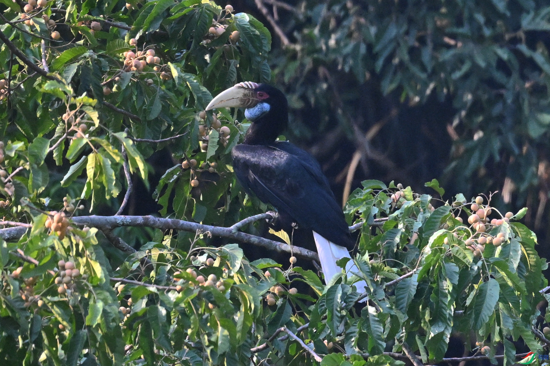 DSC_5237.JPG