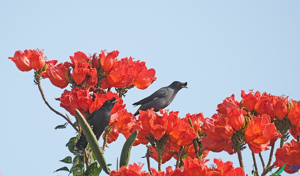 DSCF2073.1.jpg