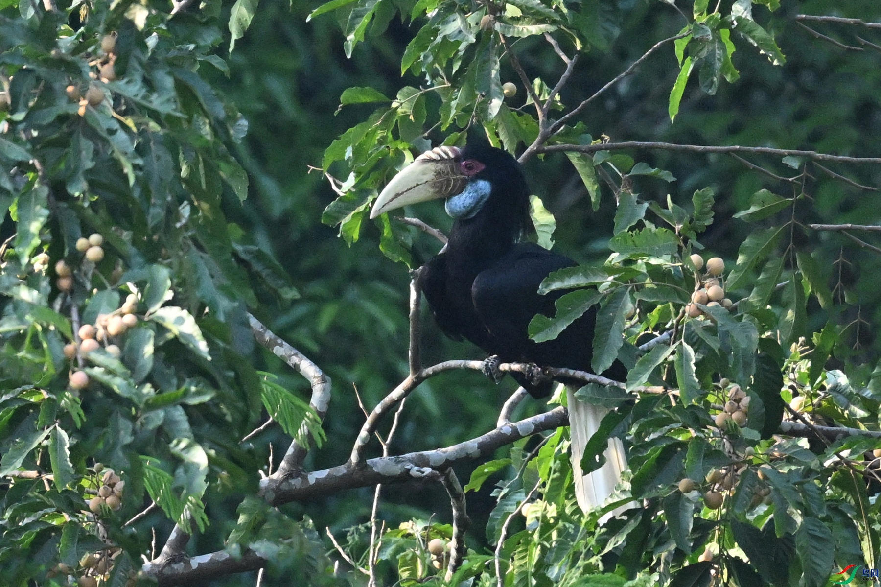 DSC_5185.JPG