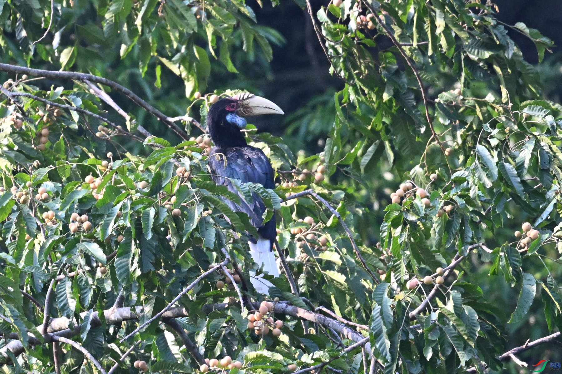 DSC_5197.JPG
