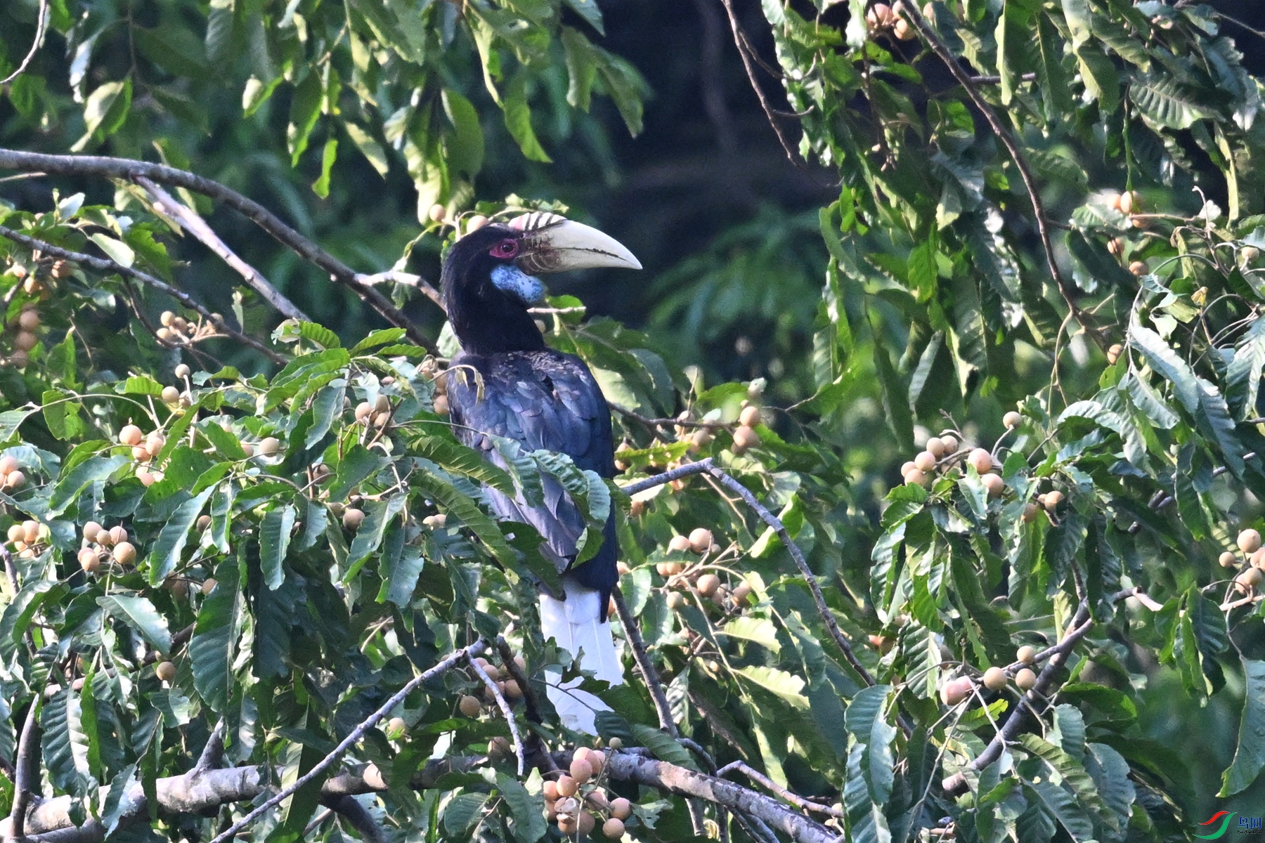 DSC_5199.JPG
