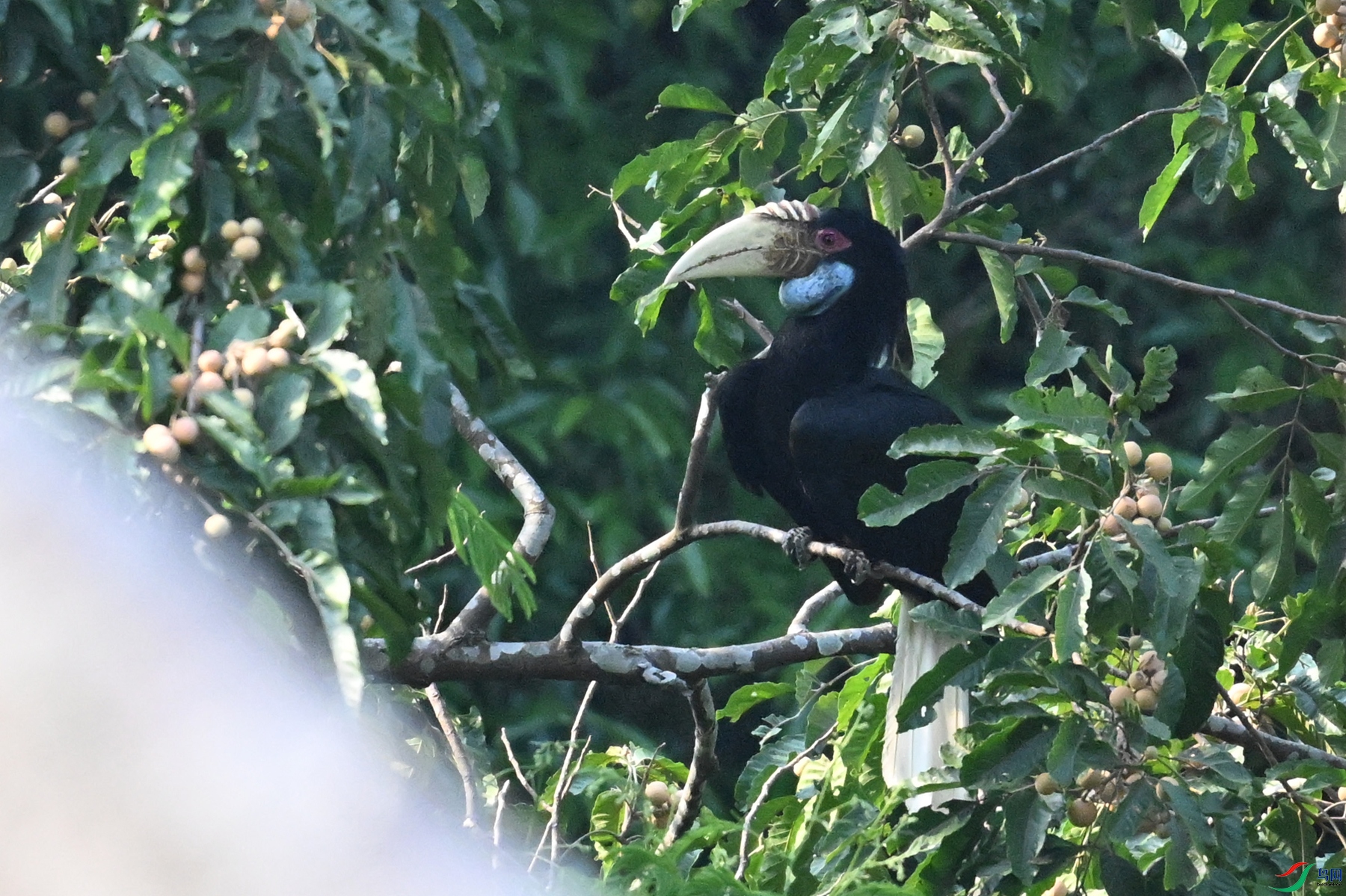 DSC_5187.JPG