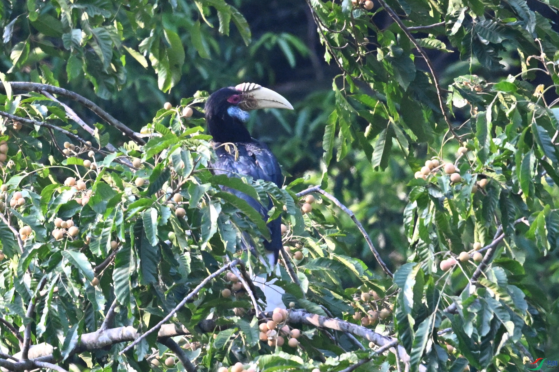DSC_5201.JPG