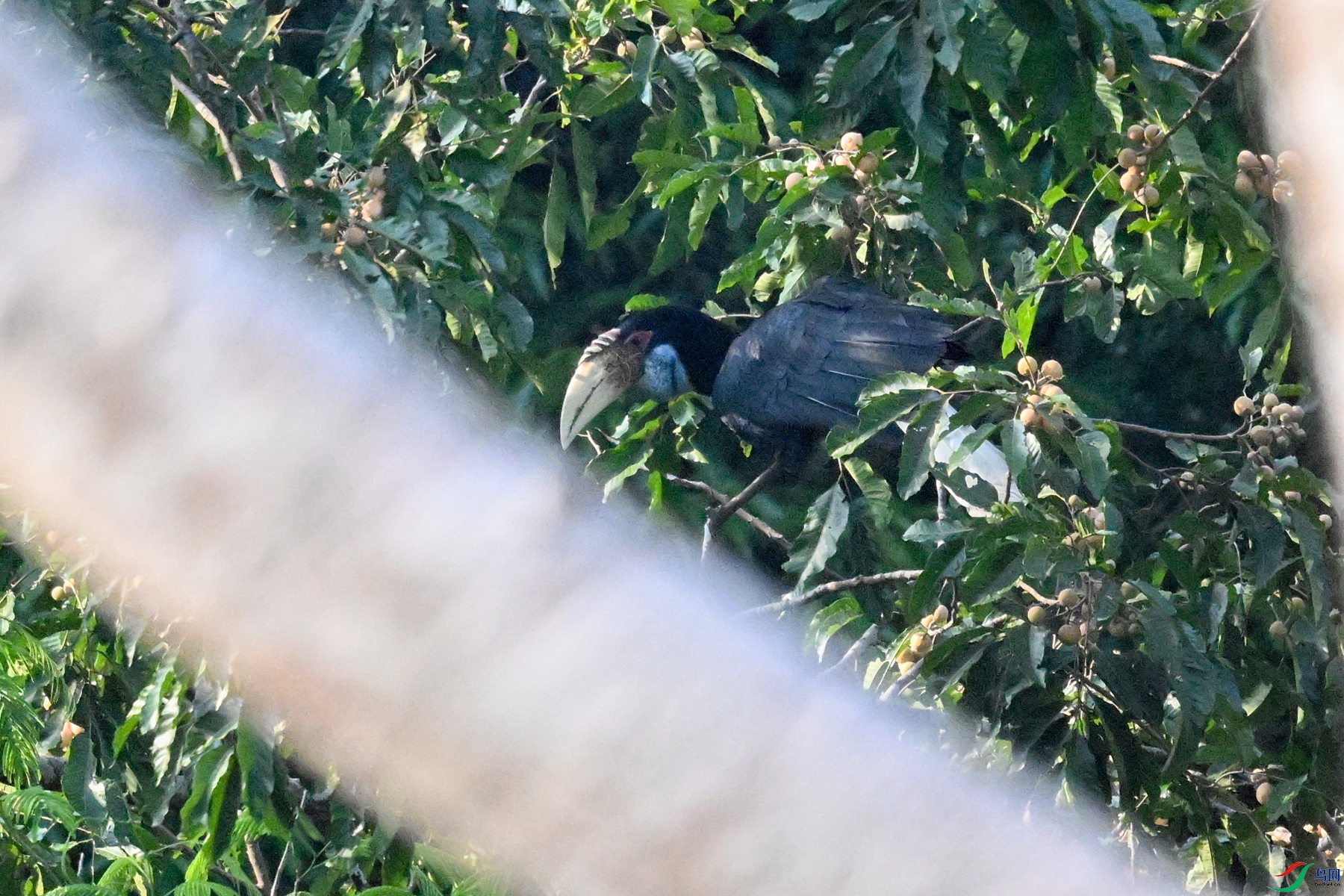 DSC_5188.JPG