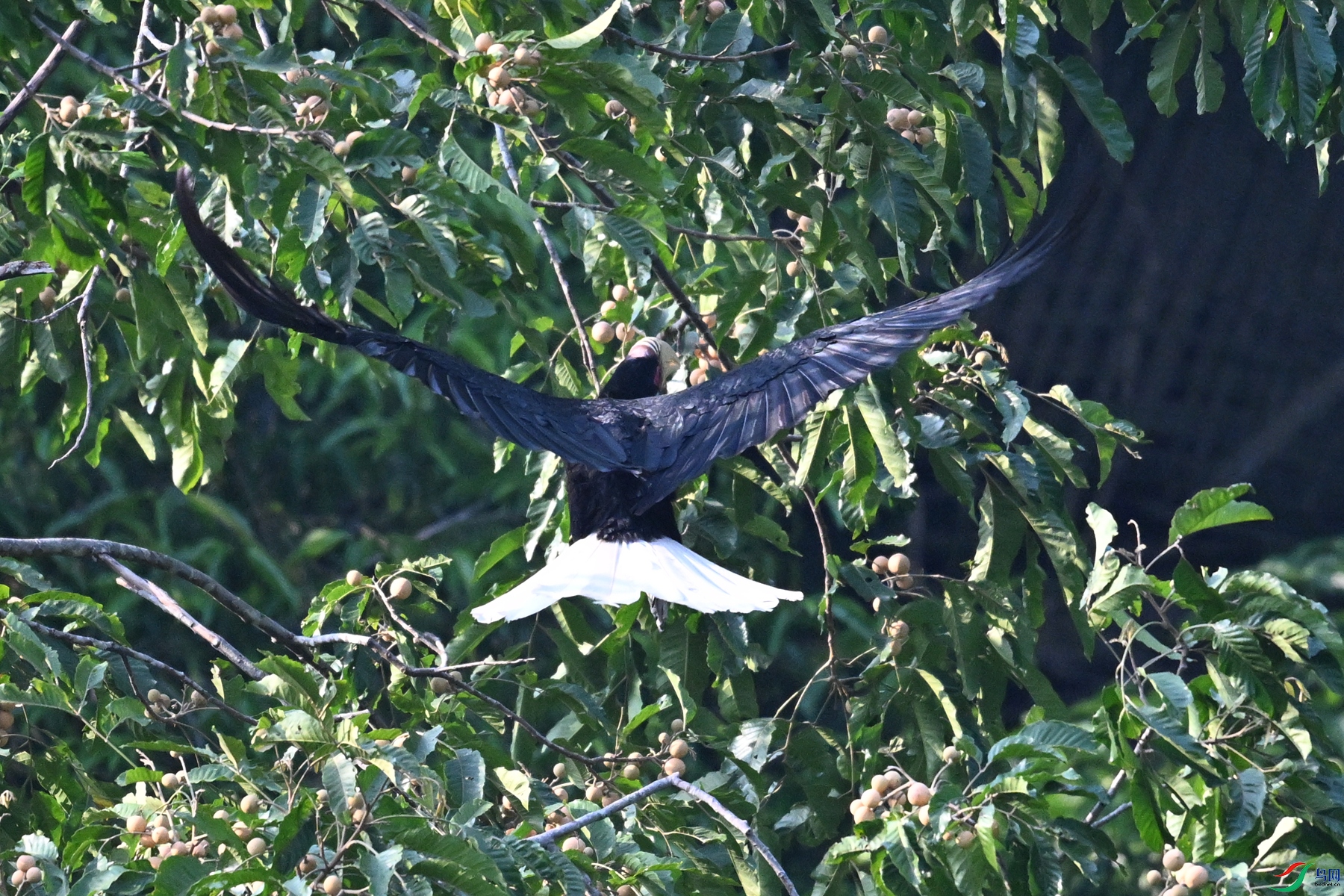 DSC_5203.JPG