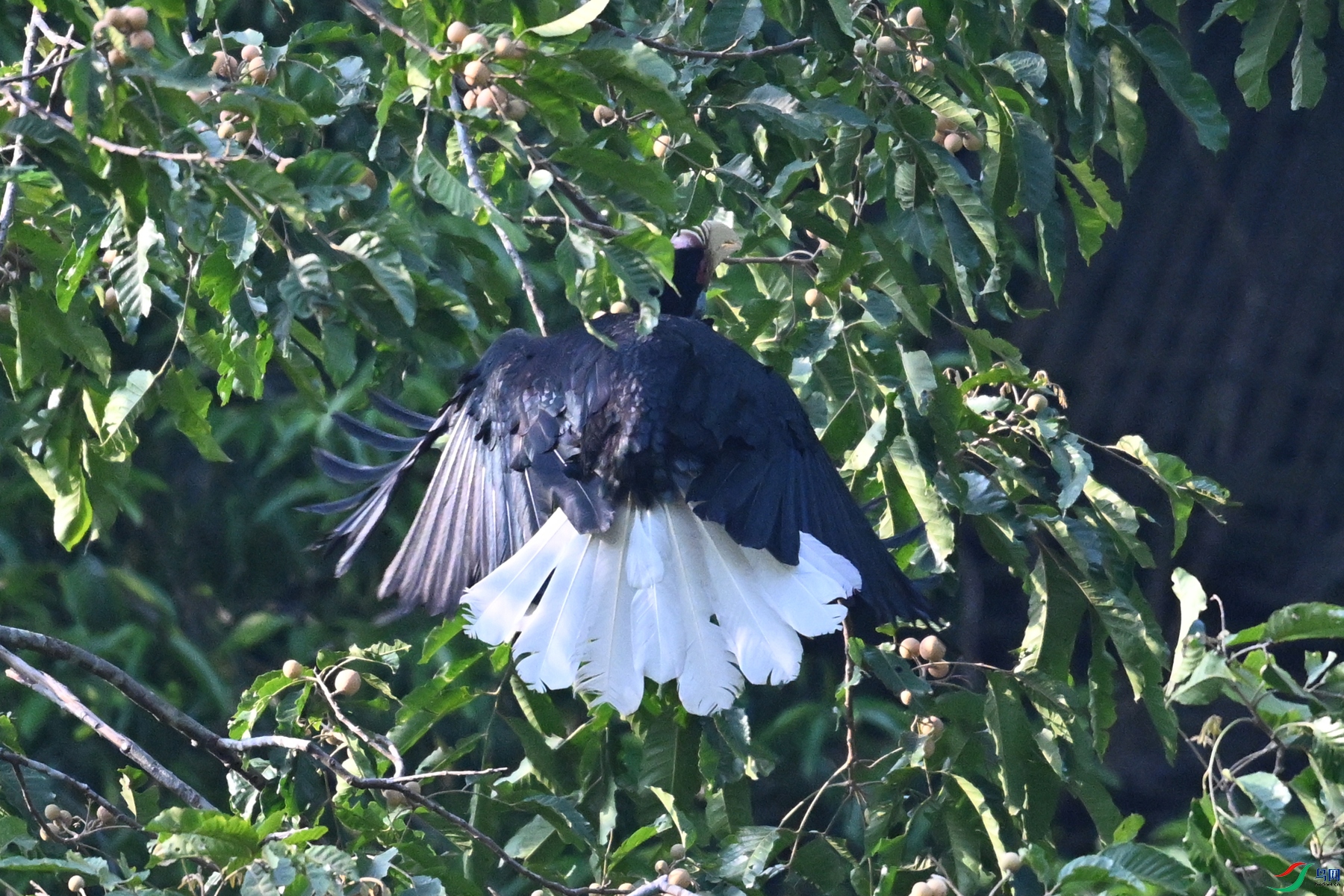 DSC_5205.JPG