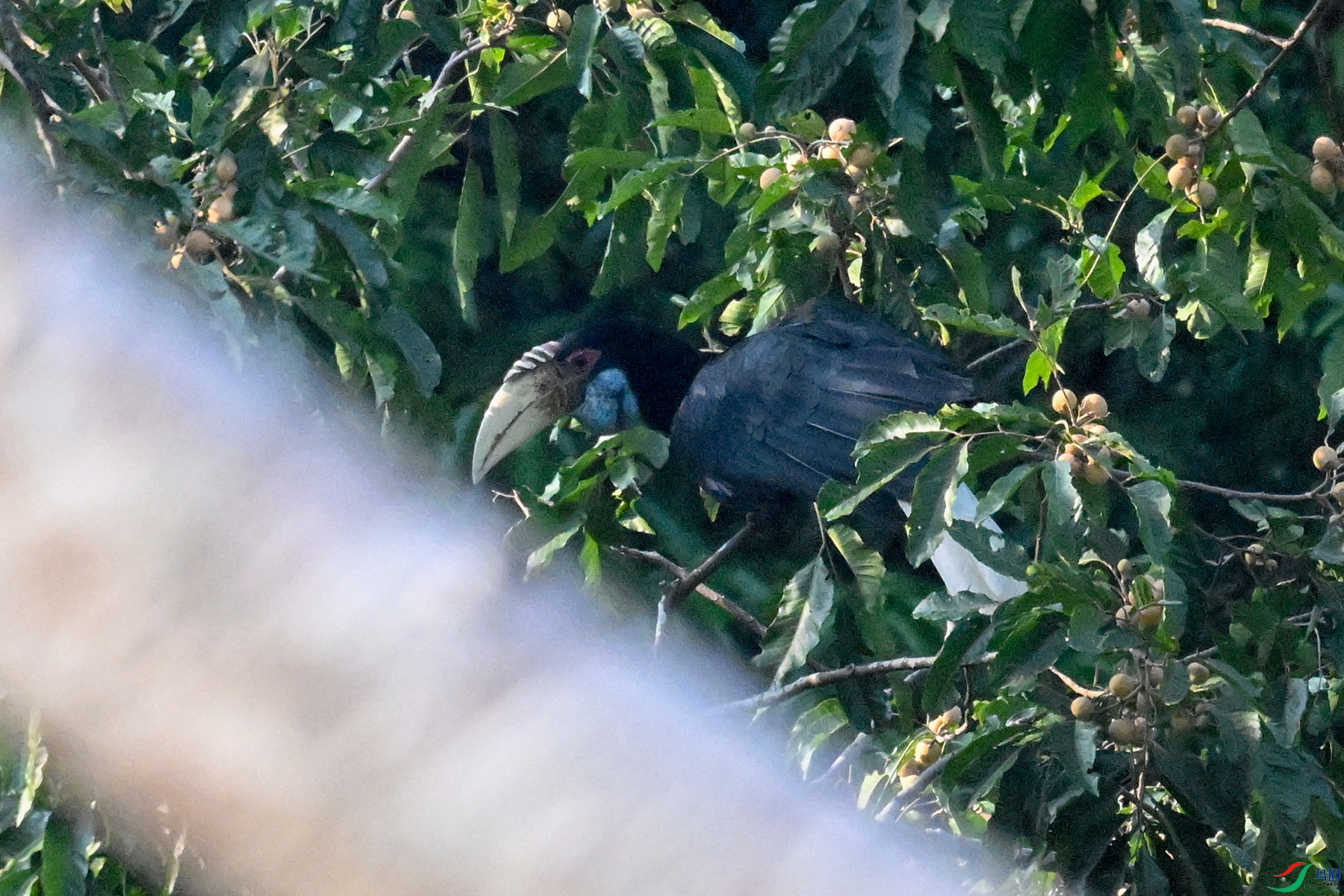 DSC_5190.JPG