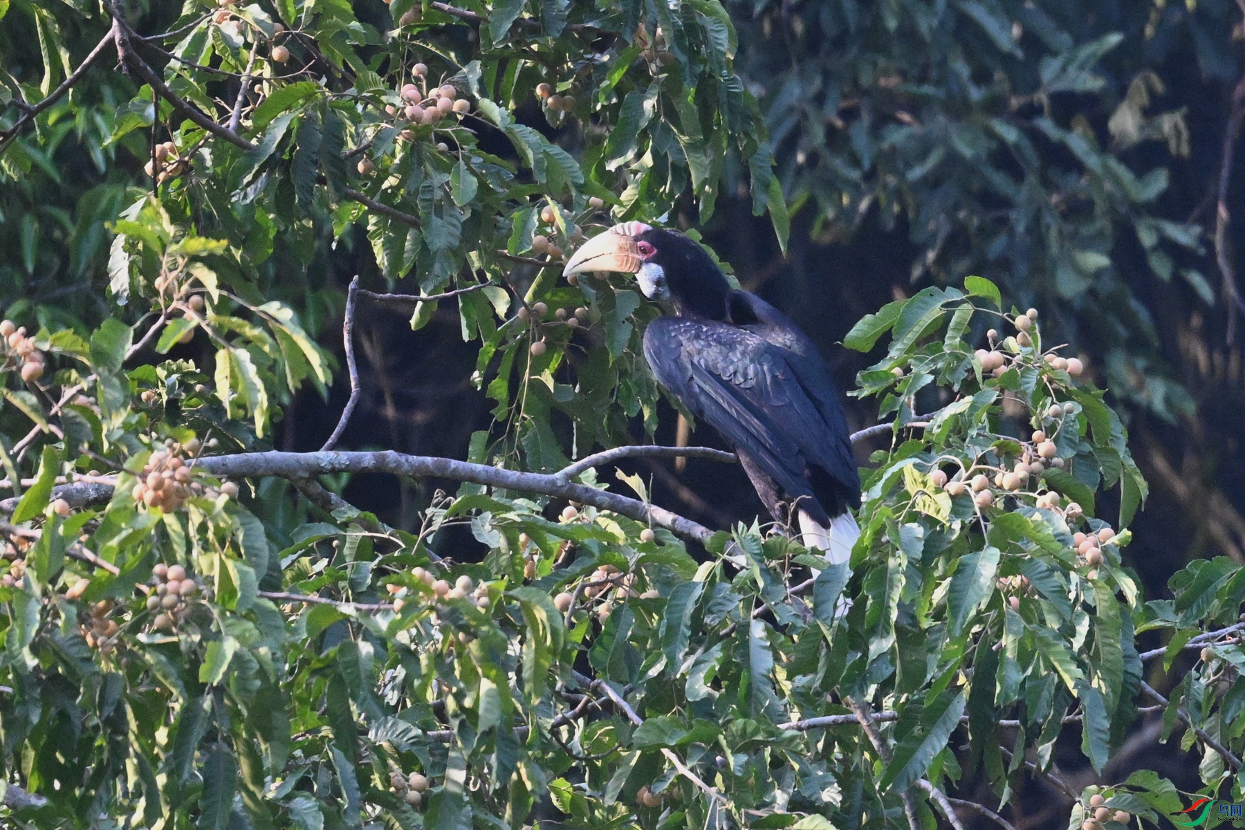 DSC_5217.JPG