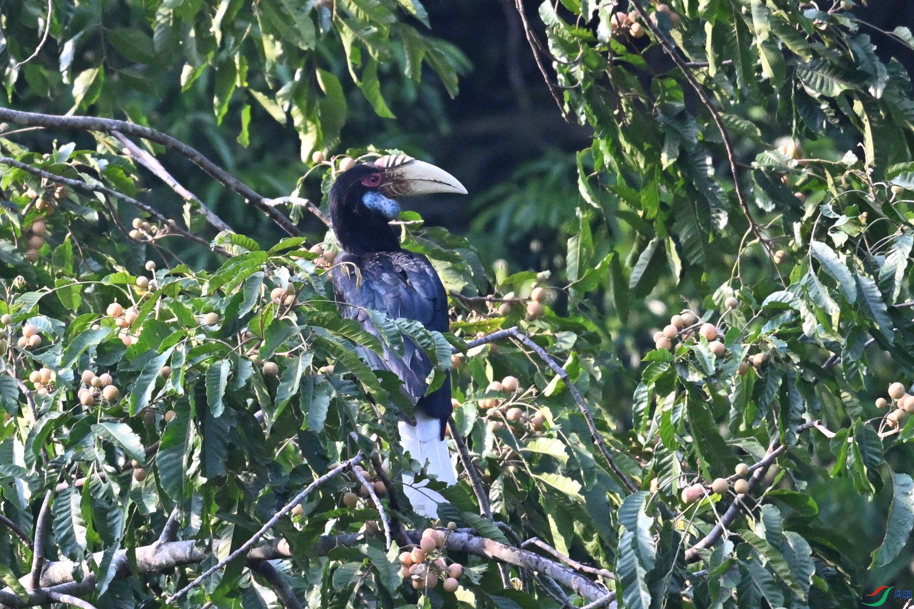 DSC_5198.JPG