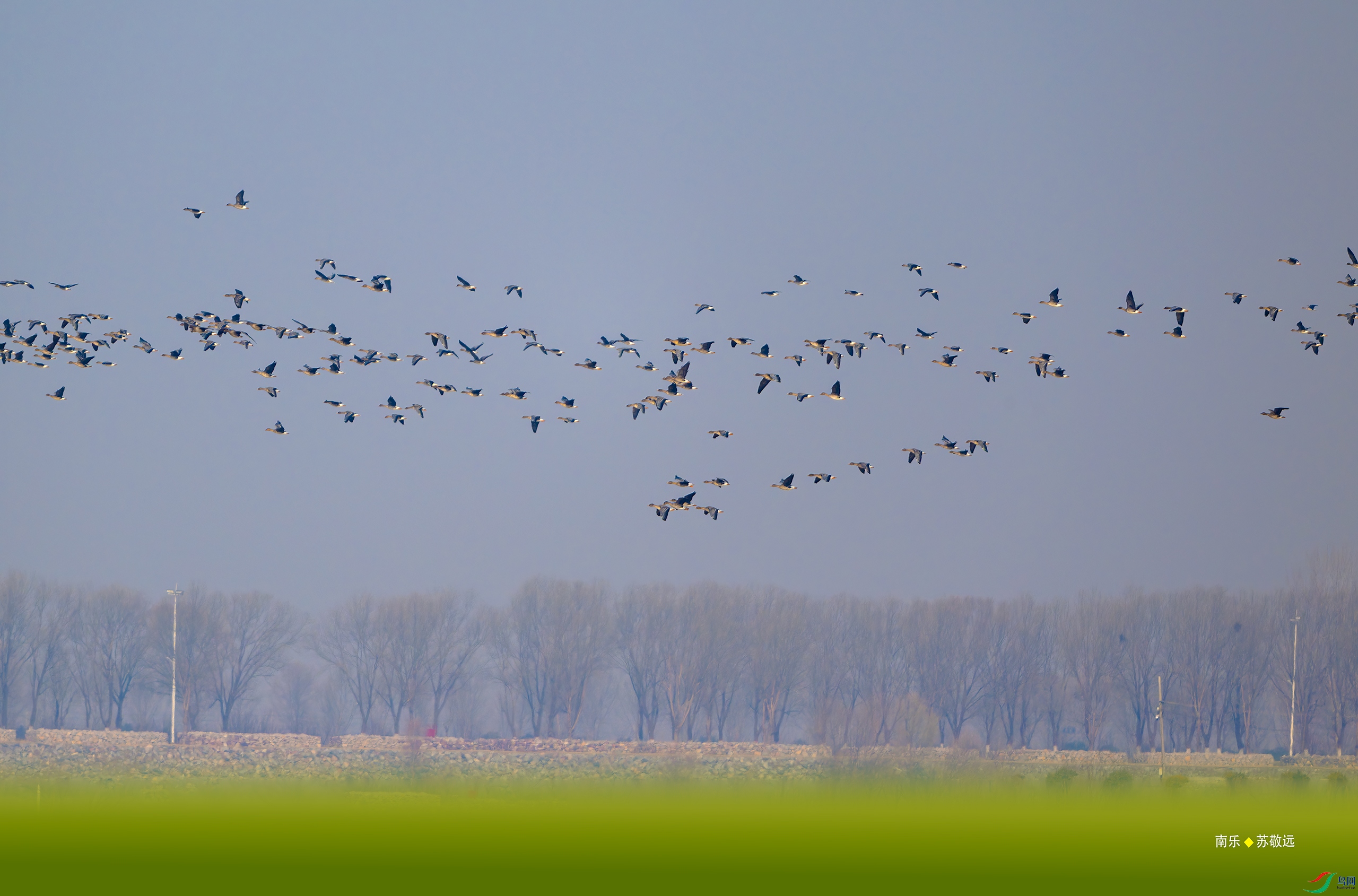 _DSC2318-DxO_С.jpg