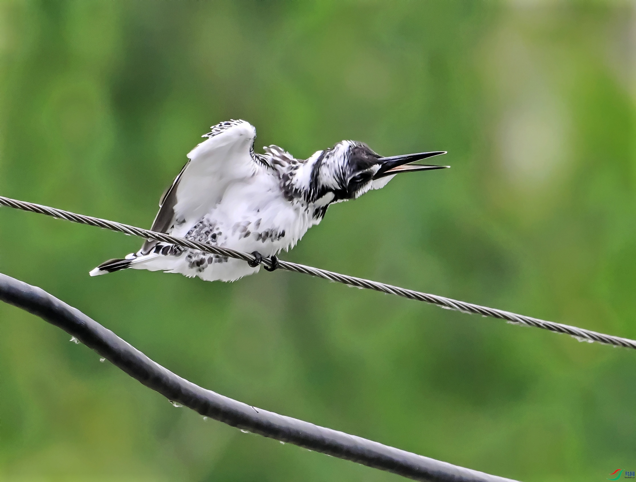 DSC_1771˦��.jpg