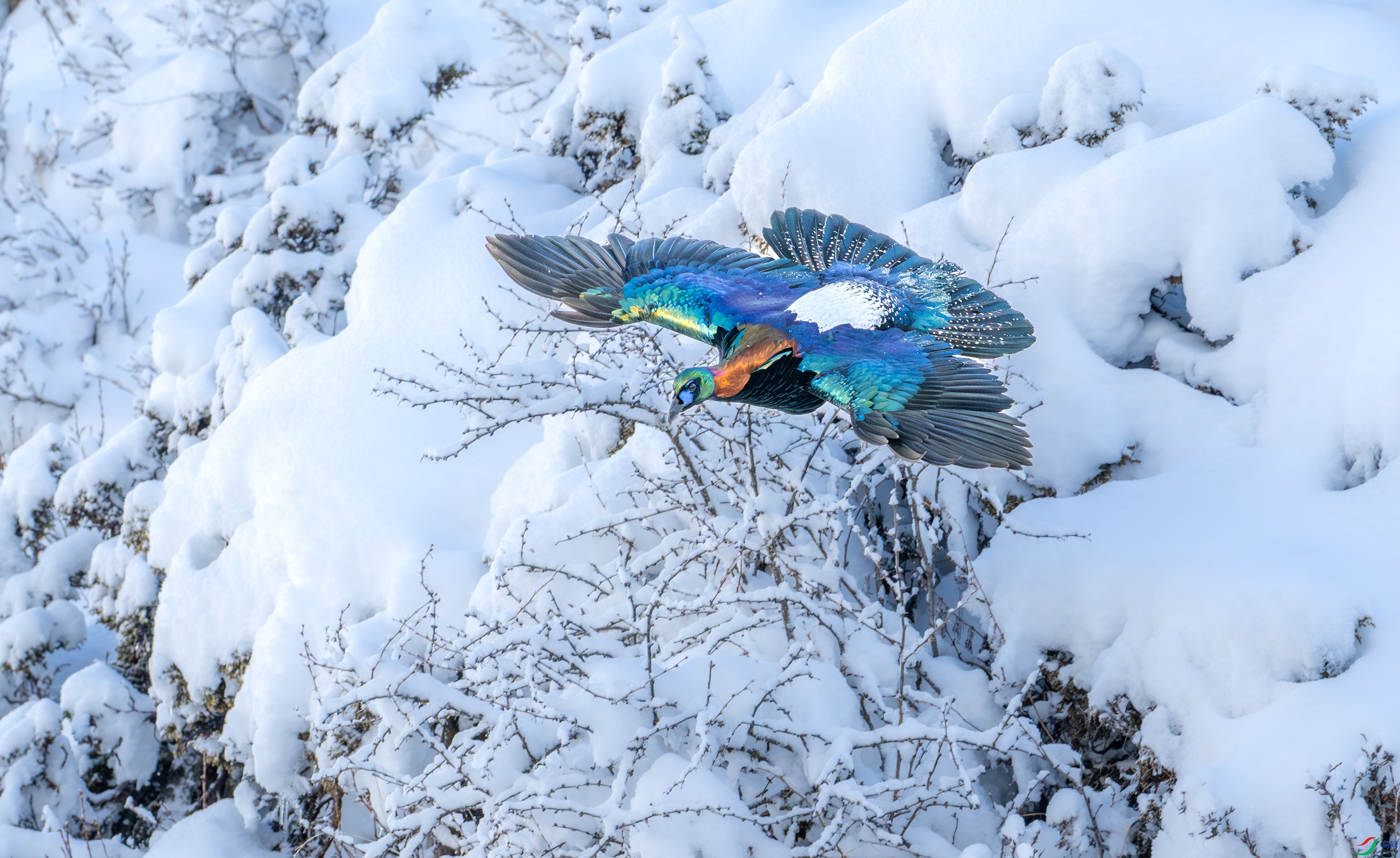 DSC_8901-11.jpg
