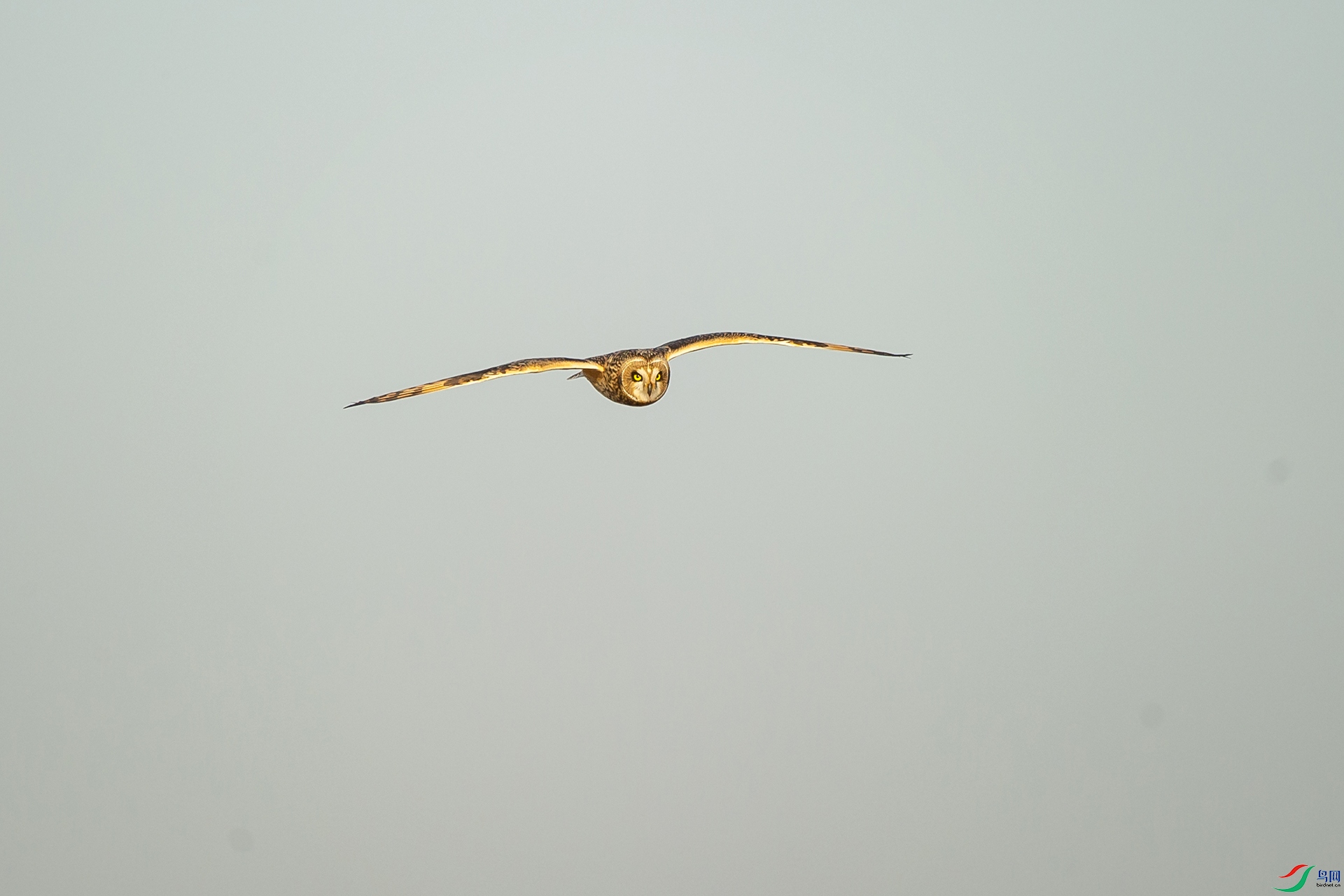 DSC_1444-20201228�ü�.jpg