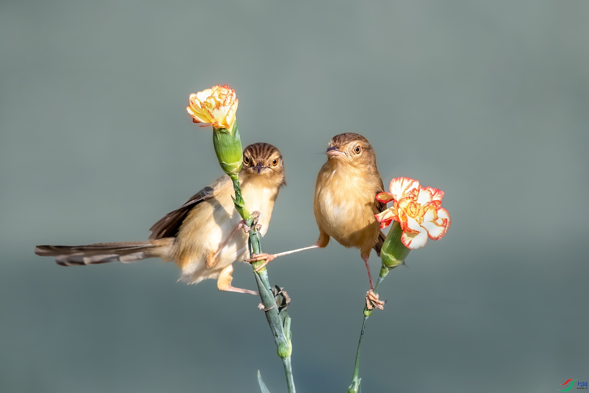 22-1.jpg