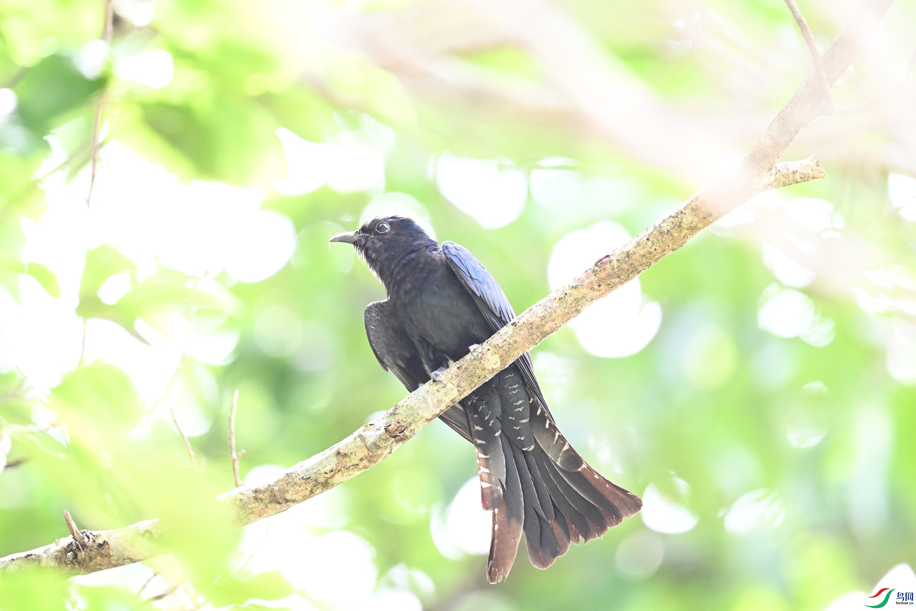 DSC_0947.JPG