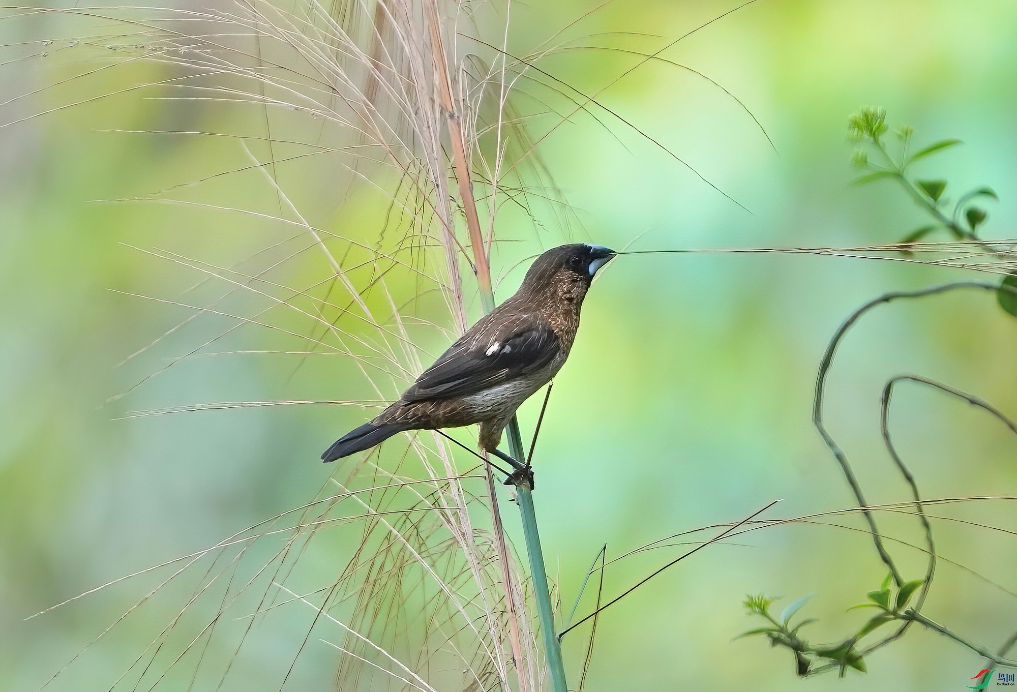 DSC08140-Dsp.jpg