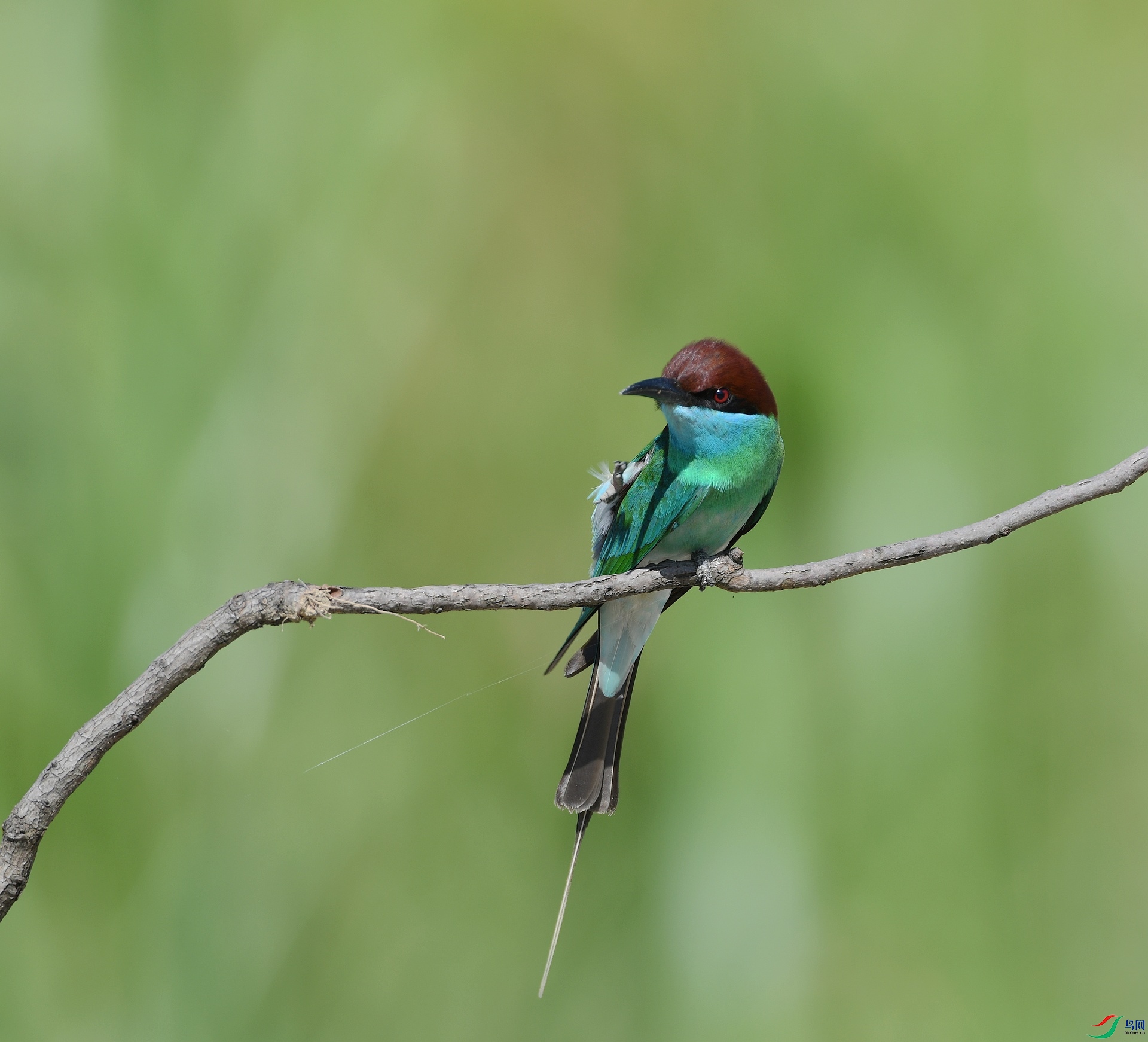 DSC_9707.jpg