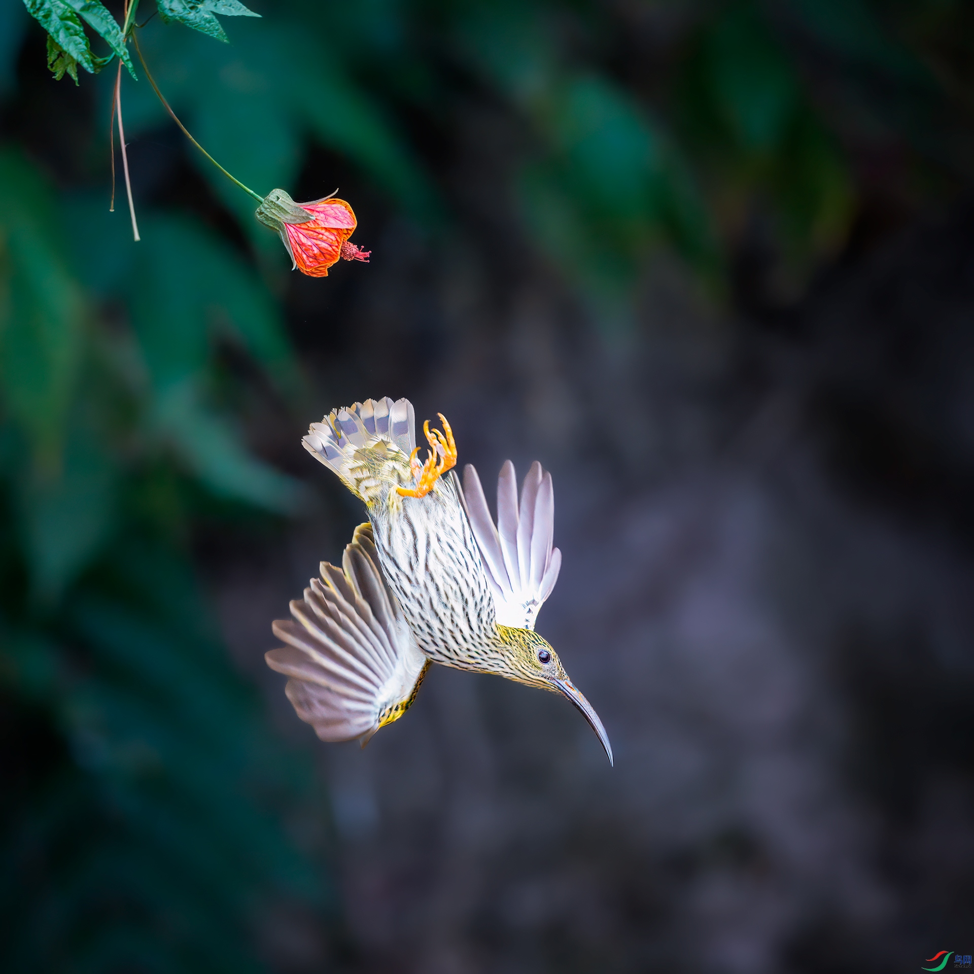 0_DSC5844-topaz-rawdenoise.jpg
