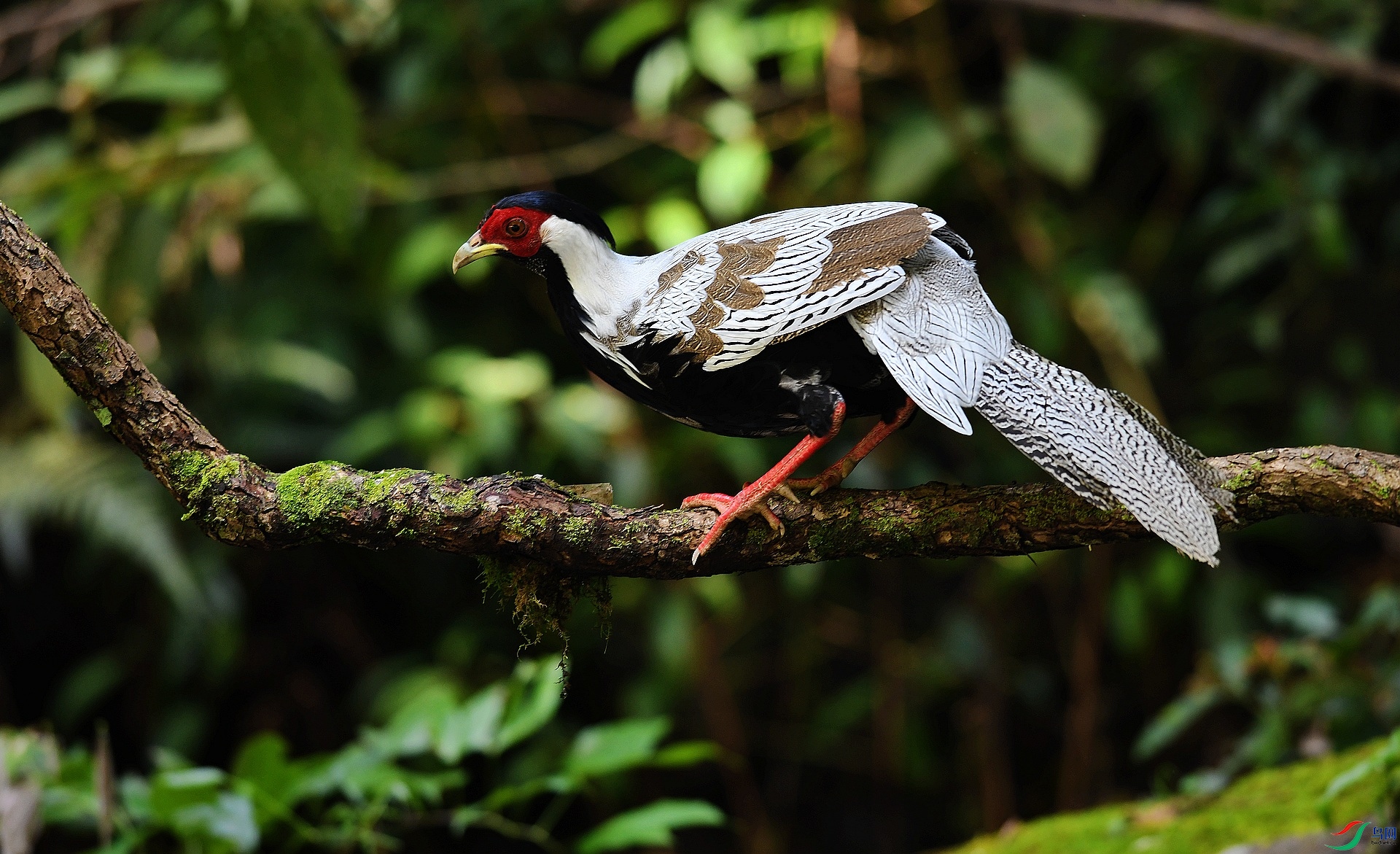 DSC_2861.jpg