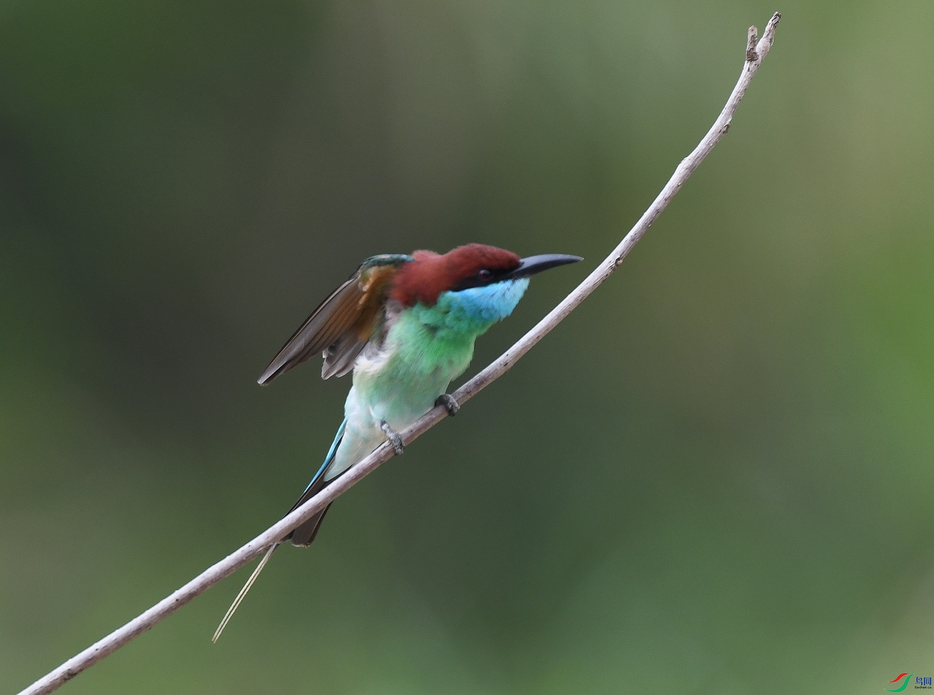 DSC_2376.jpg