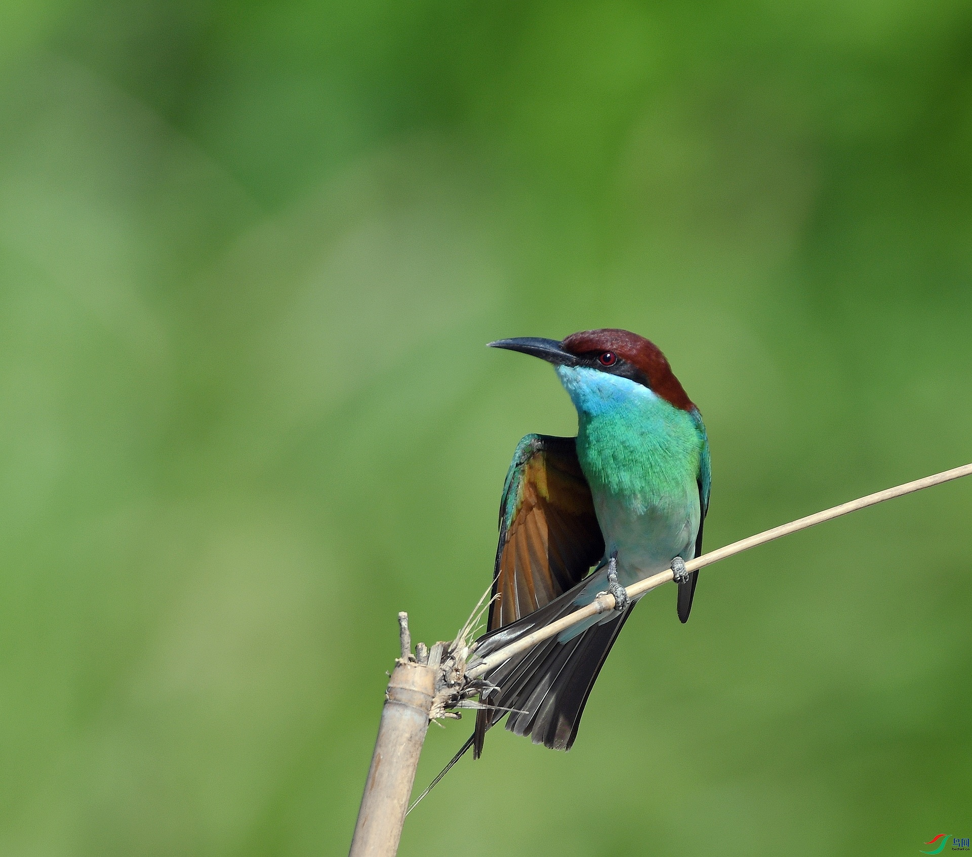 DSC_9592.jpg