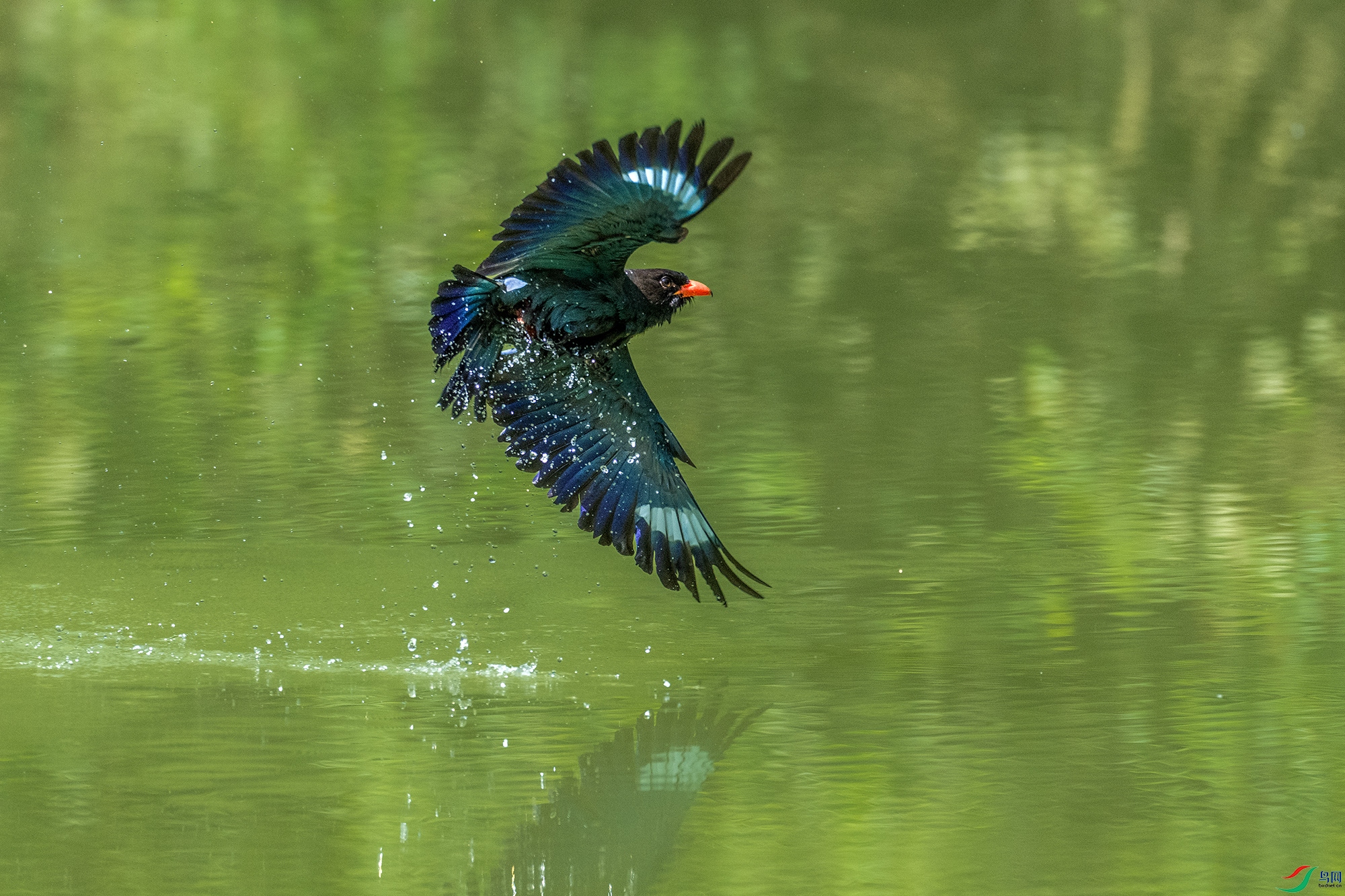 DSC_3414-1a.jpg