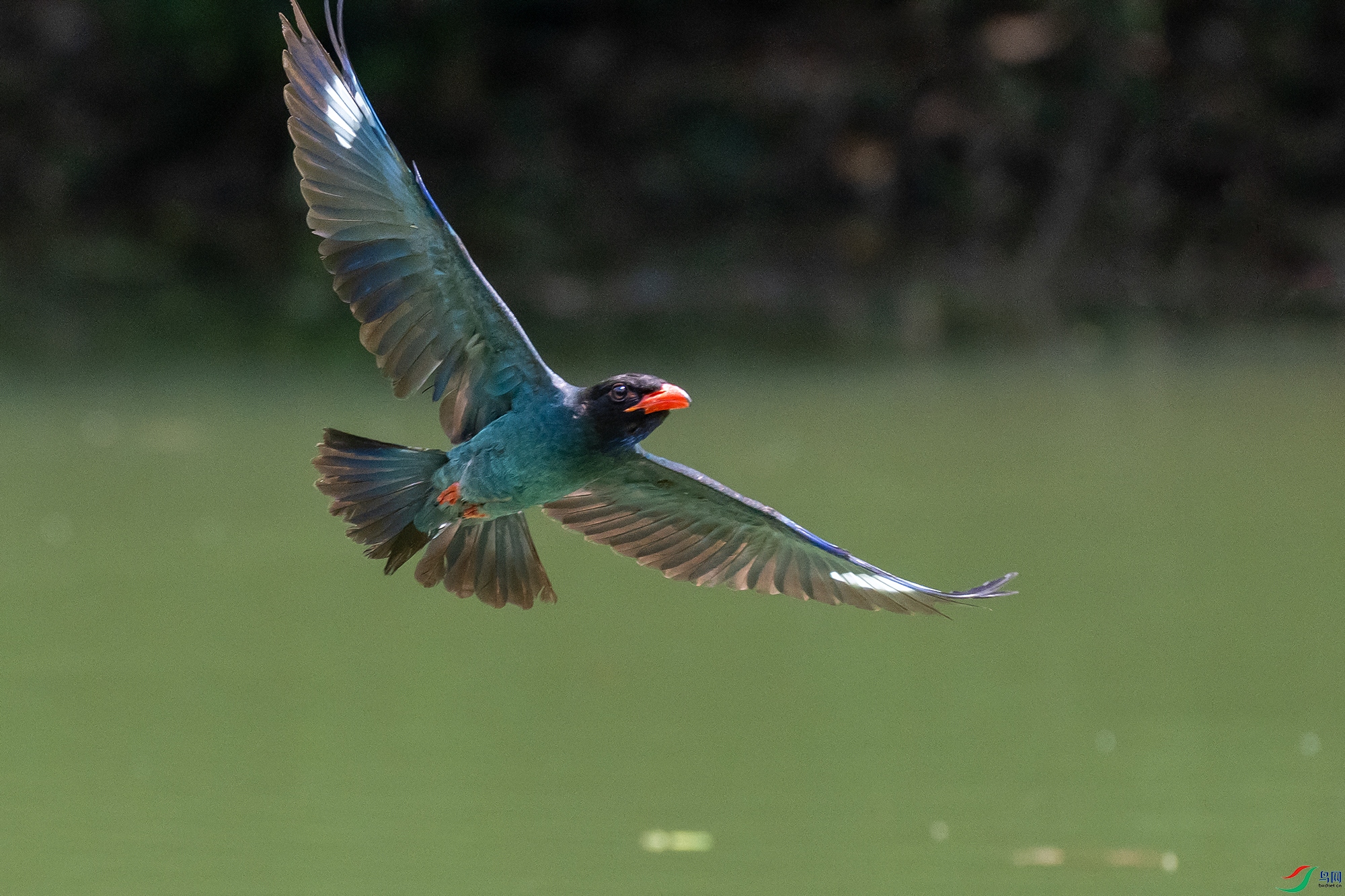 DSC_4354-1.jpg