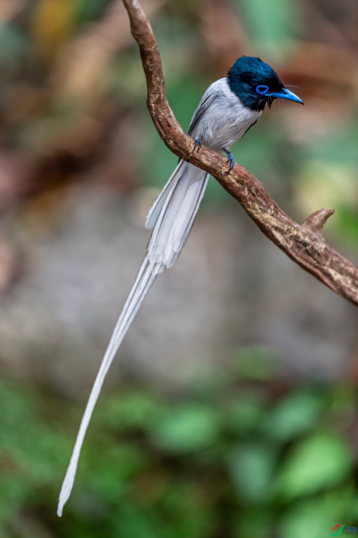 DSC_1831-11.jpg