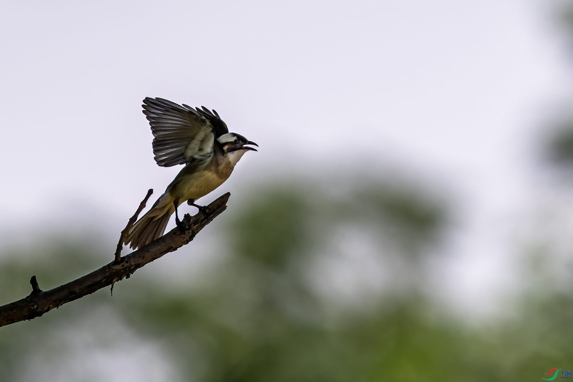 DSC_3466-11.jpg