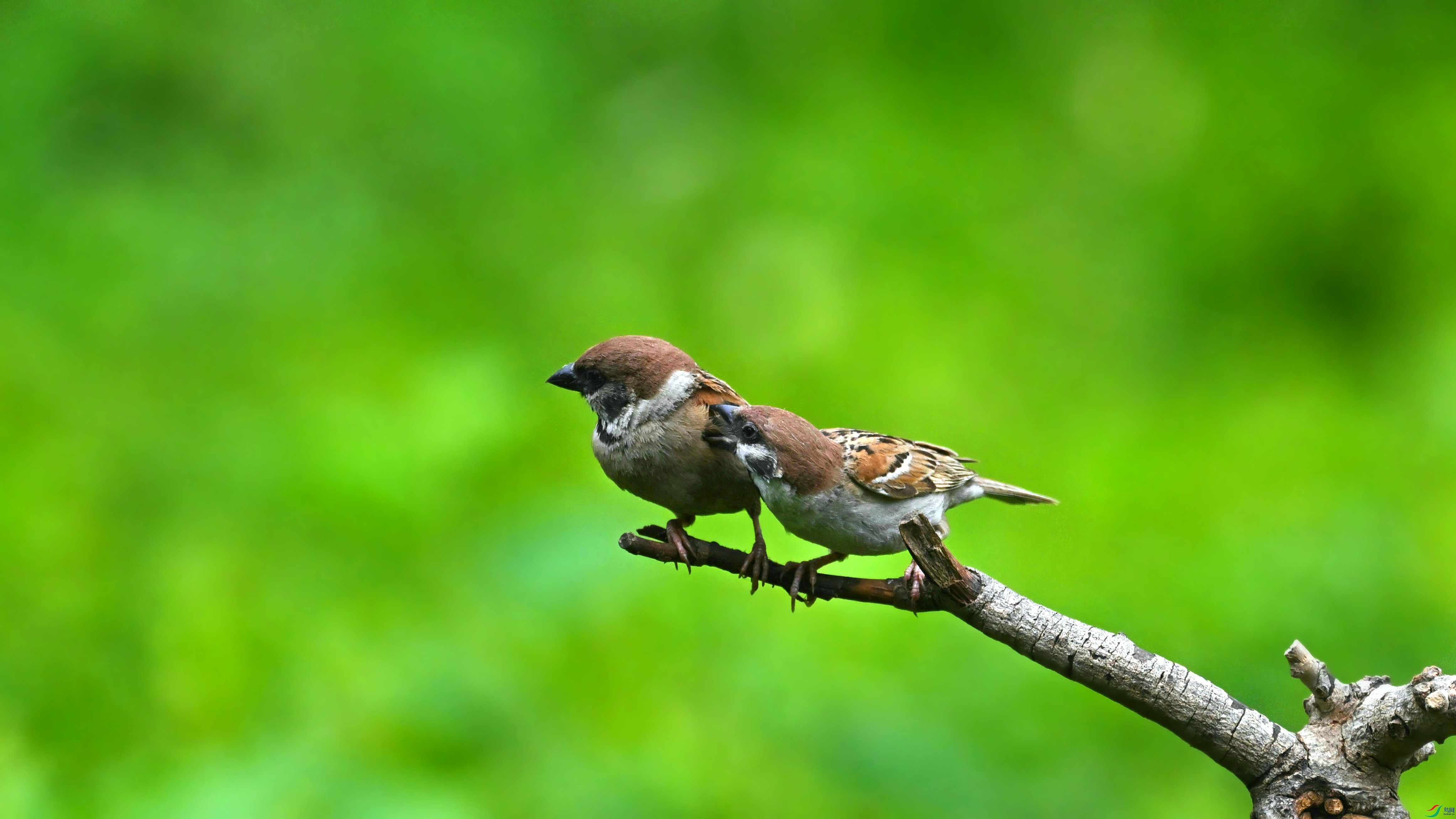 DSC_6407.JPG