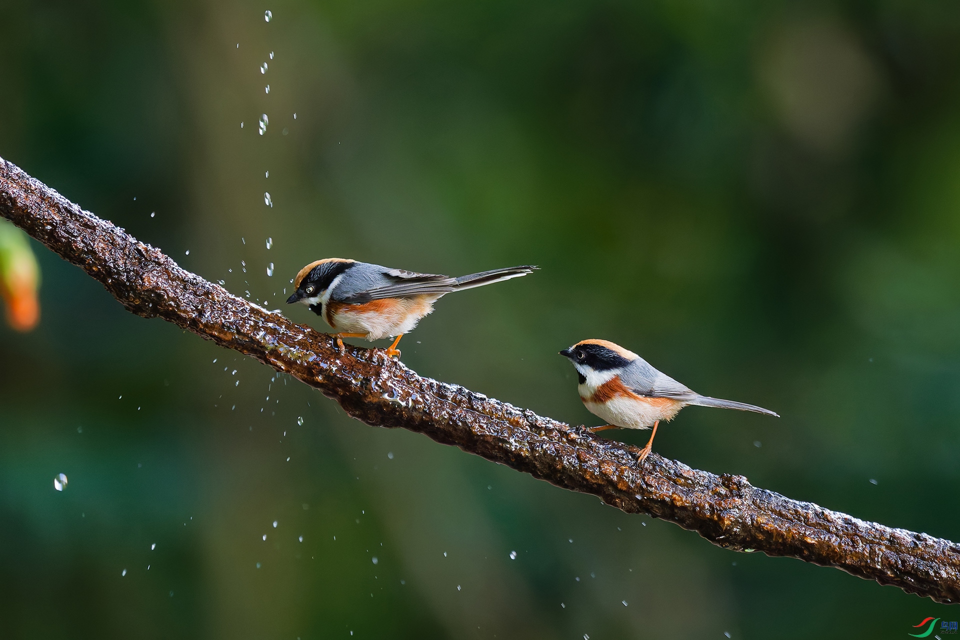 DSC_7166_DxO_DxOa.jpg