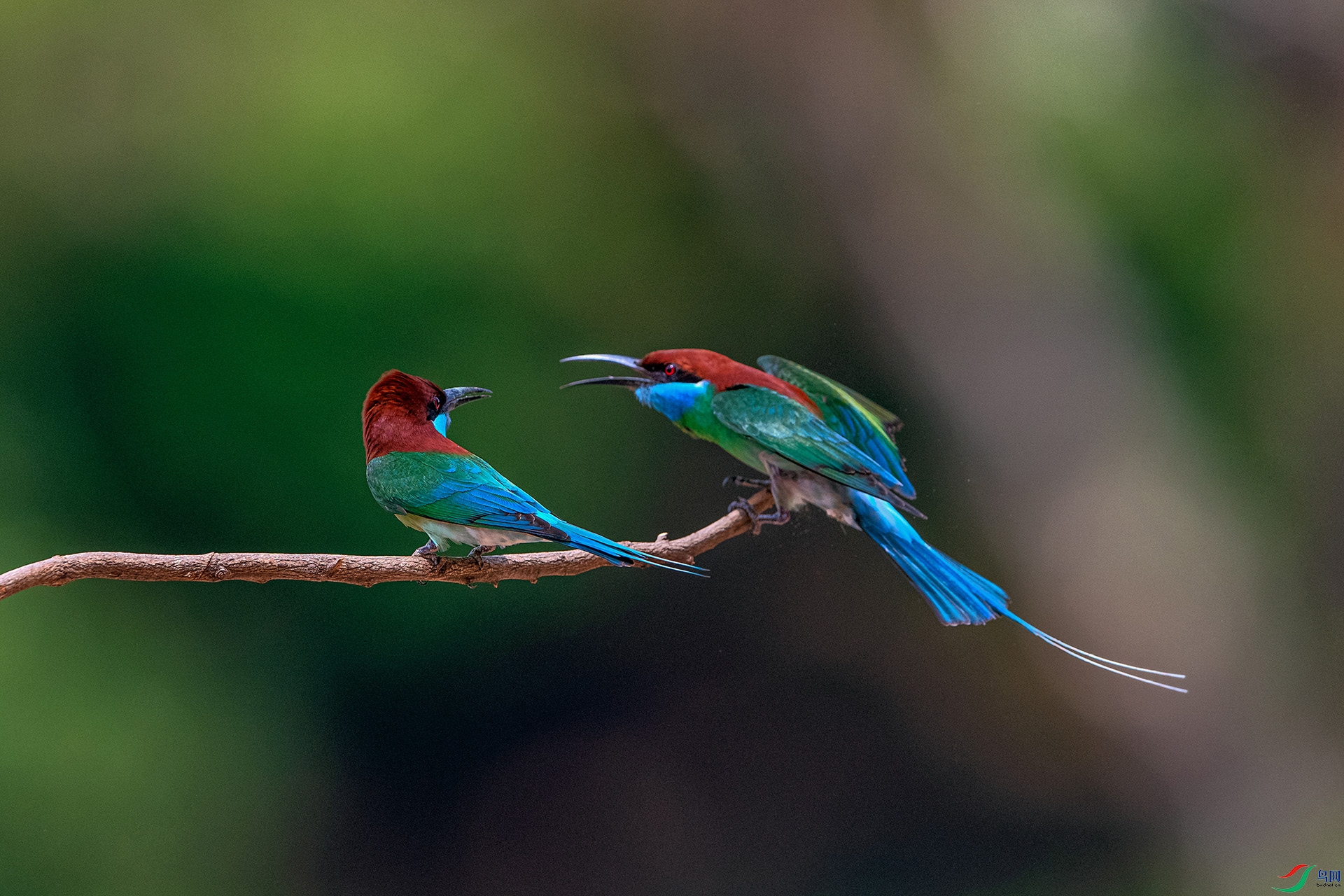 _AUU5013�����仢(24.5.14).jpg