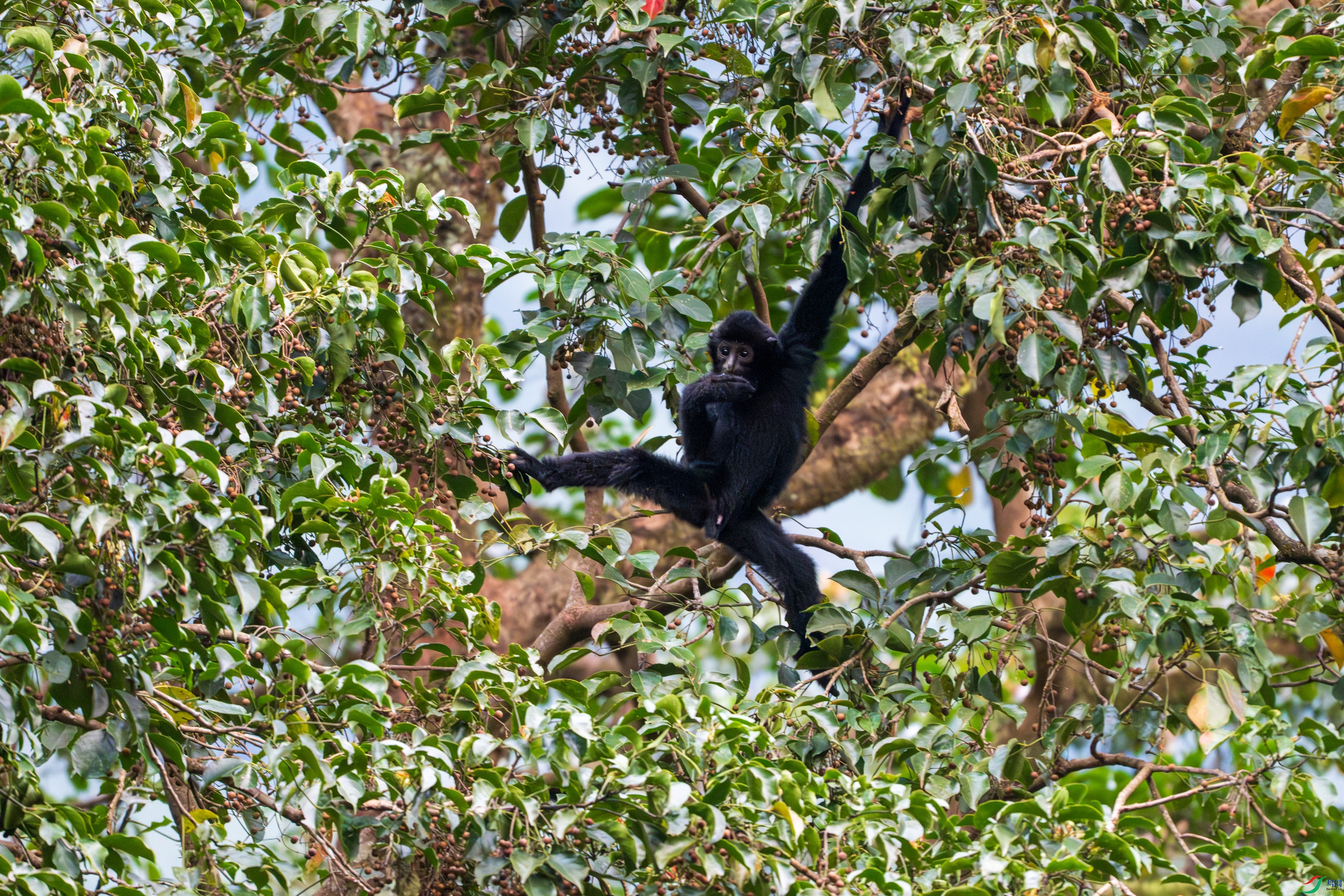 DSC_9767A.jpg