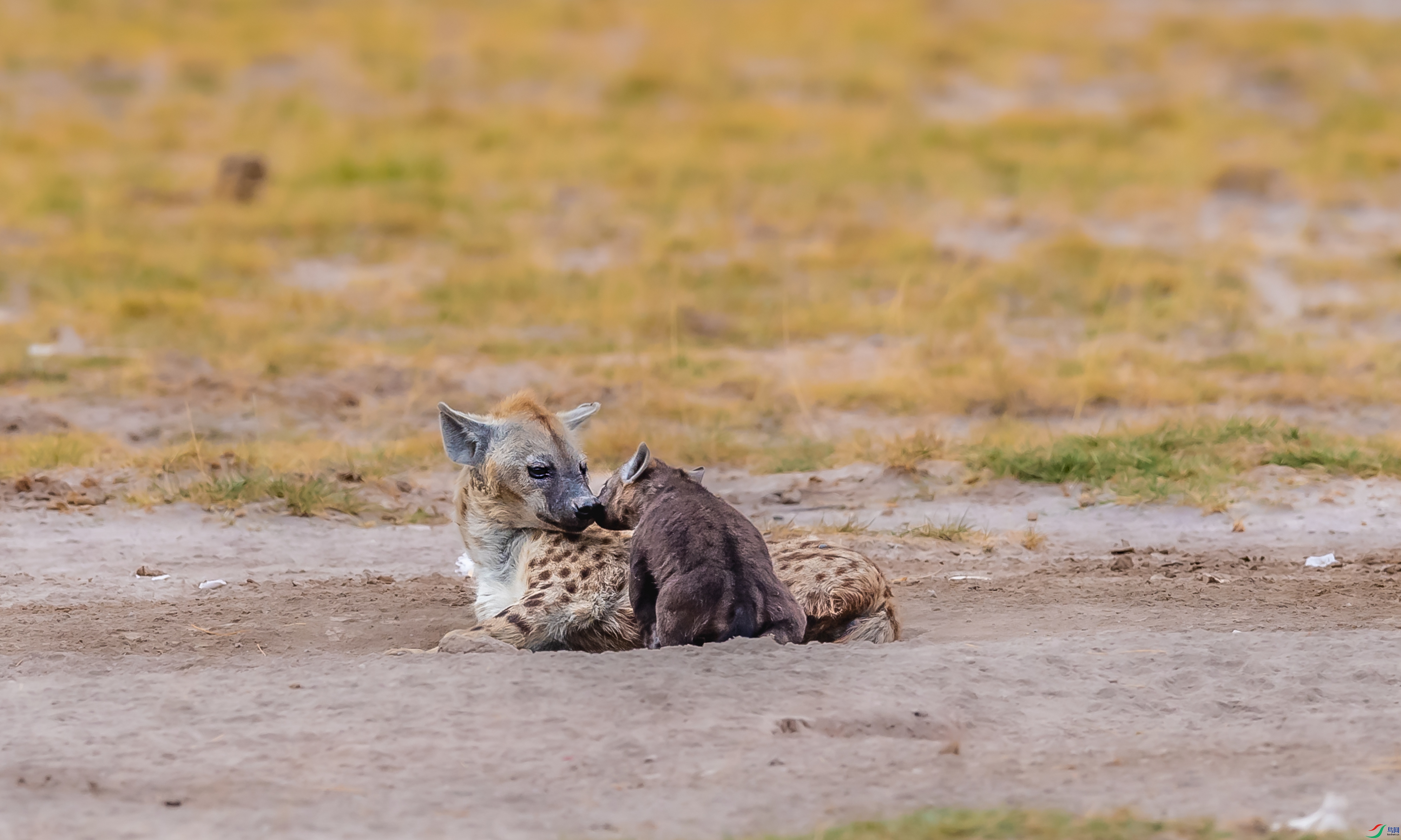 DSC_0048.jpg