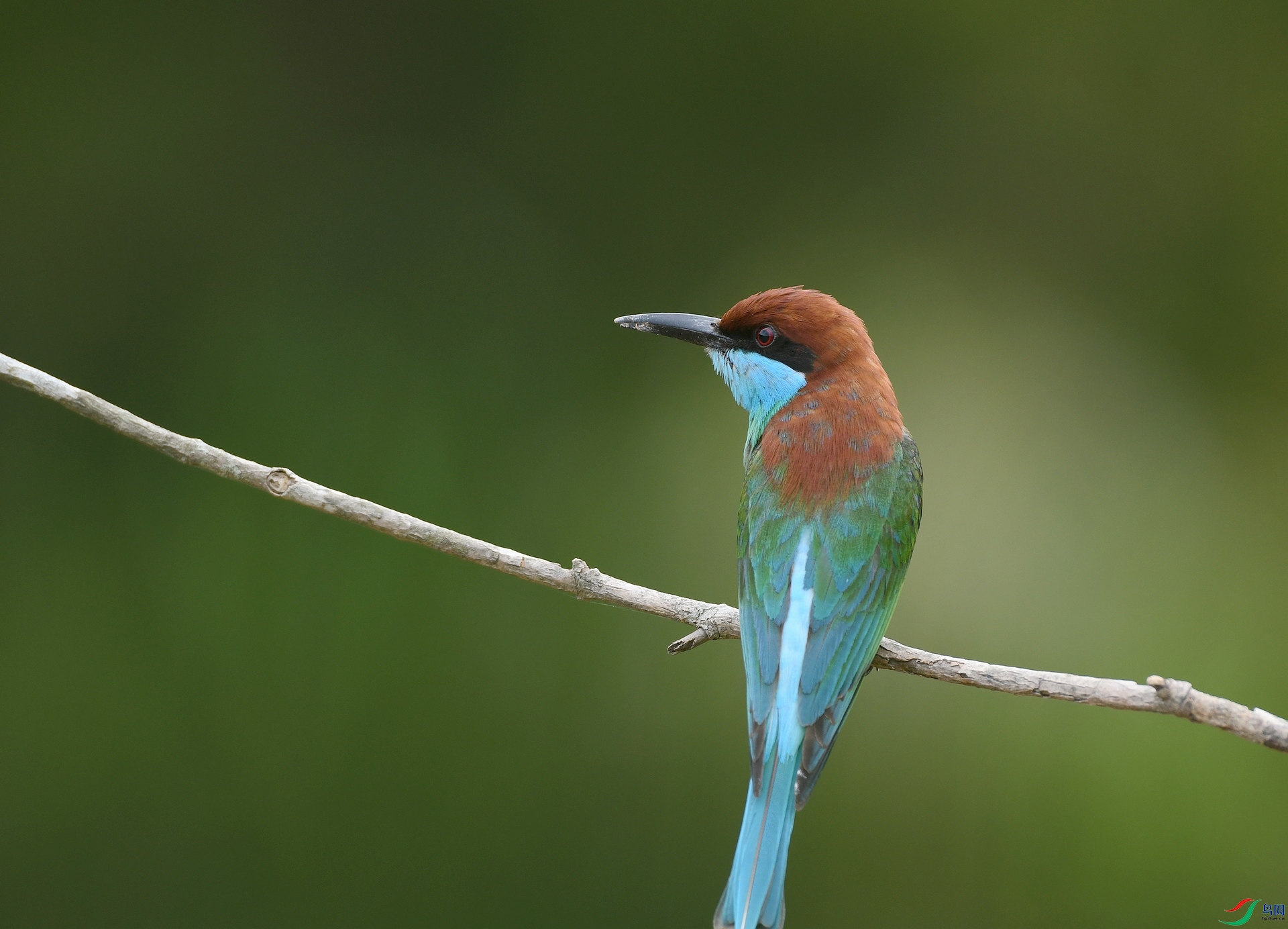 DSC_7879.jpg