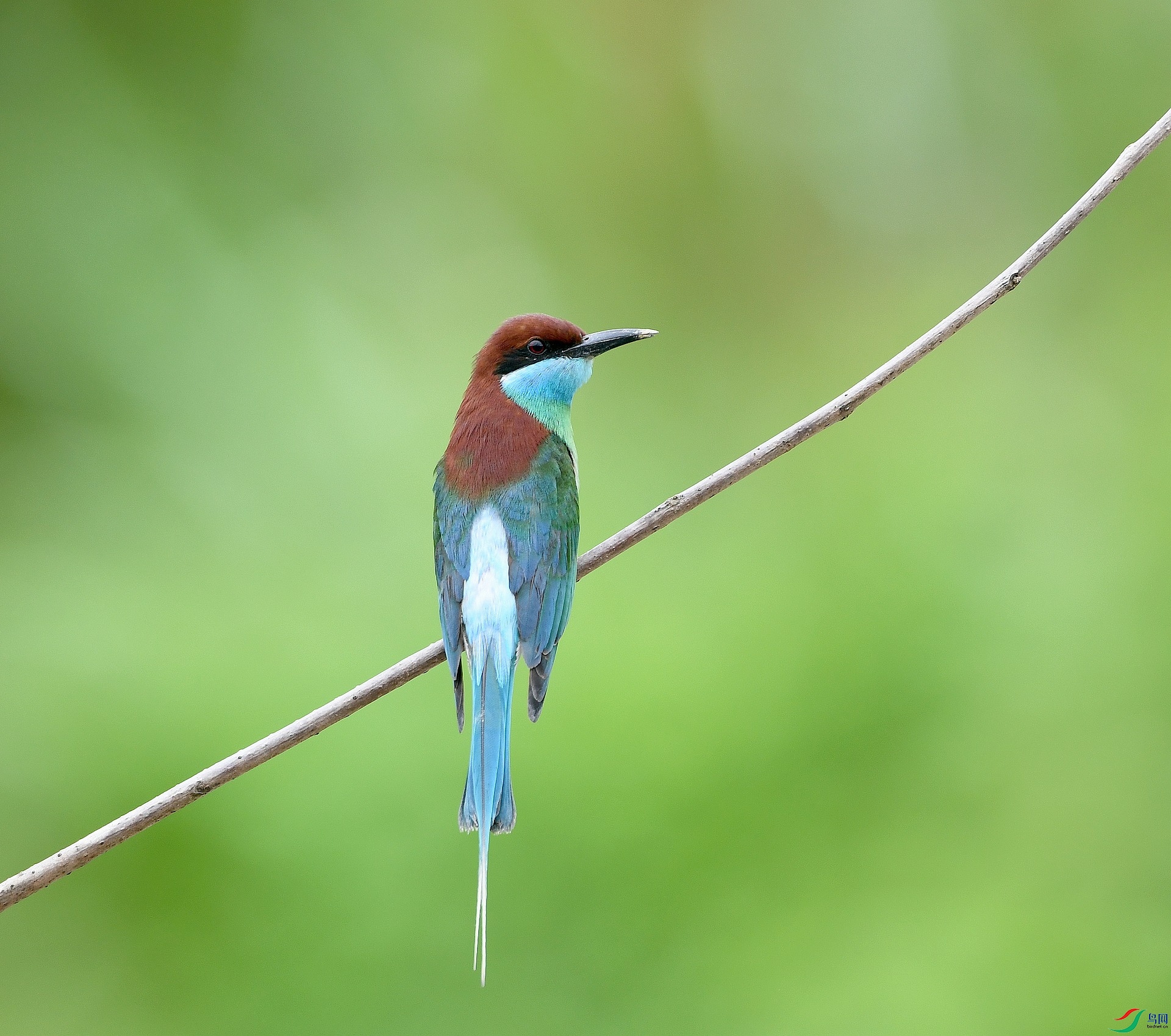 DSC_4559.jpg