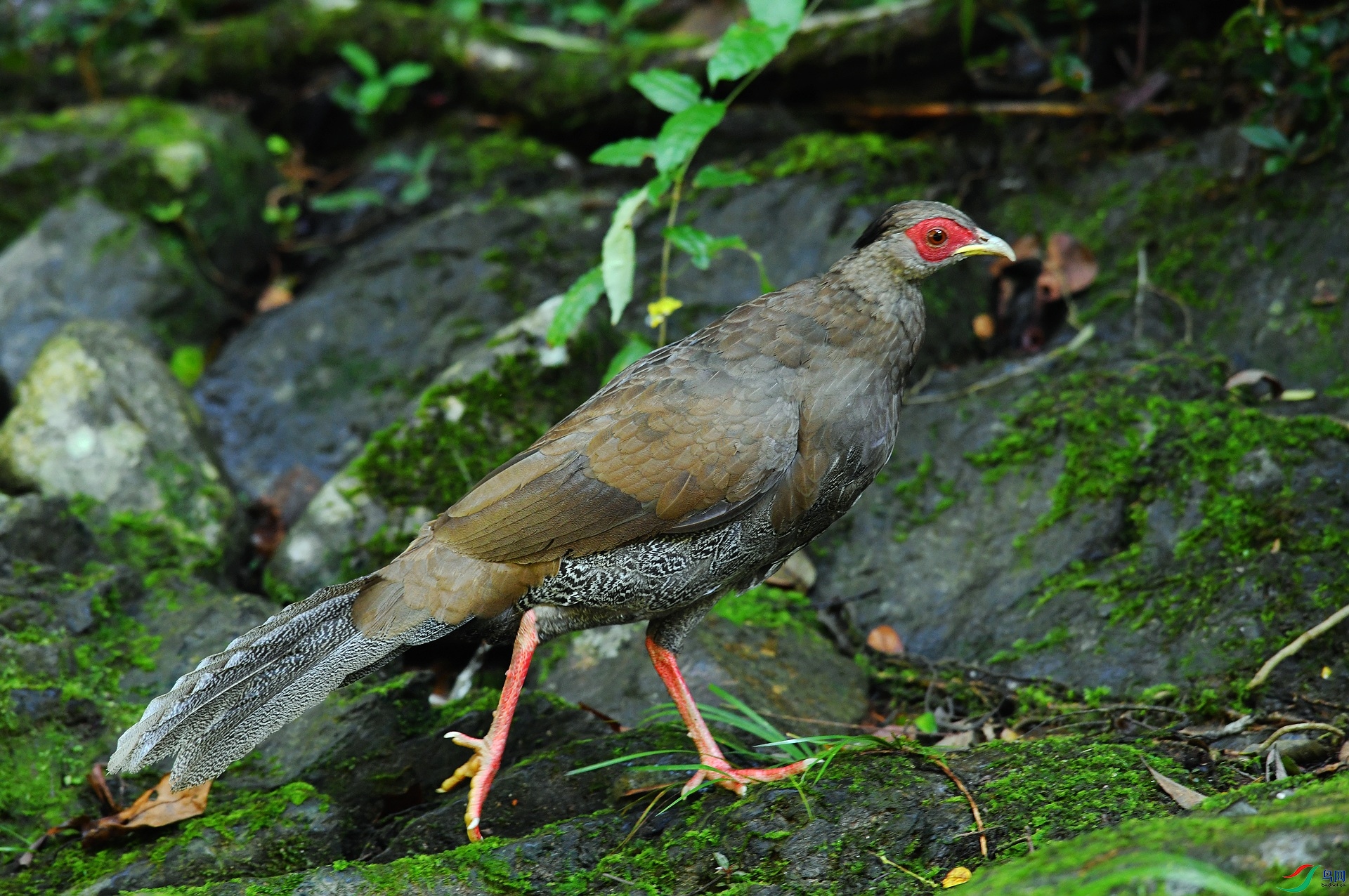 DSC_3100.jpg