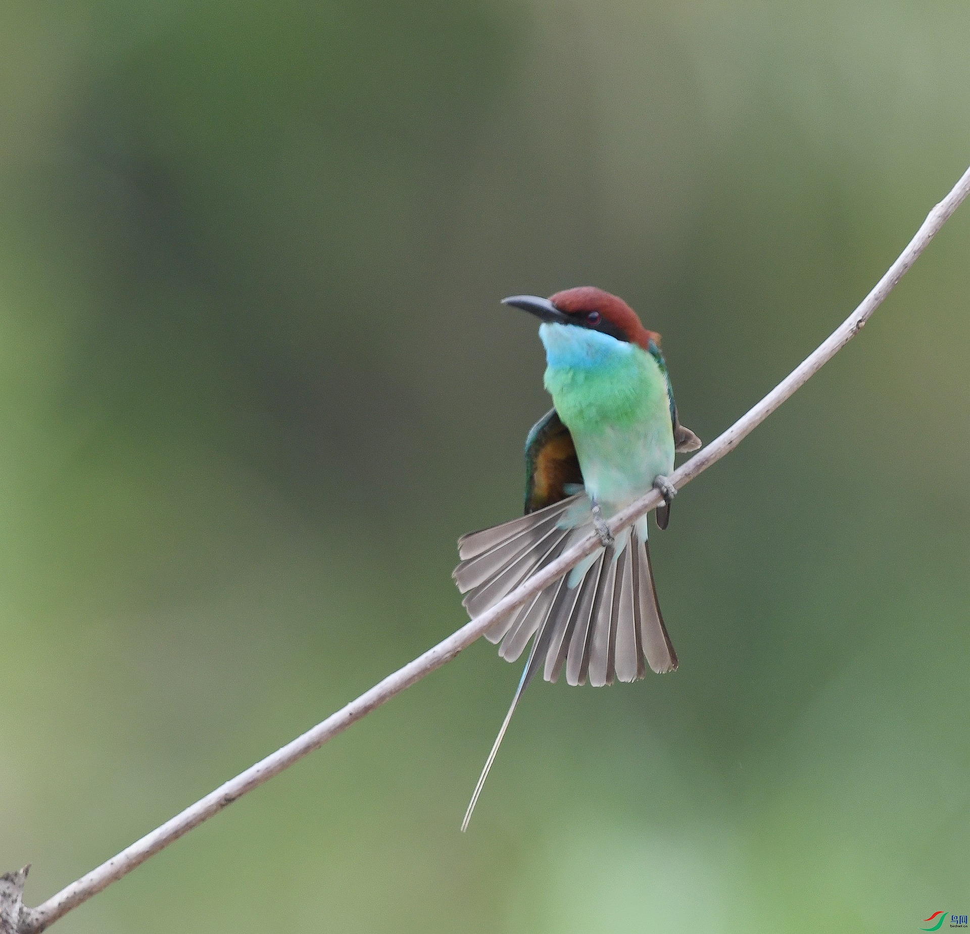 DSC_2370.jpg