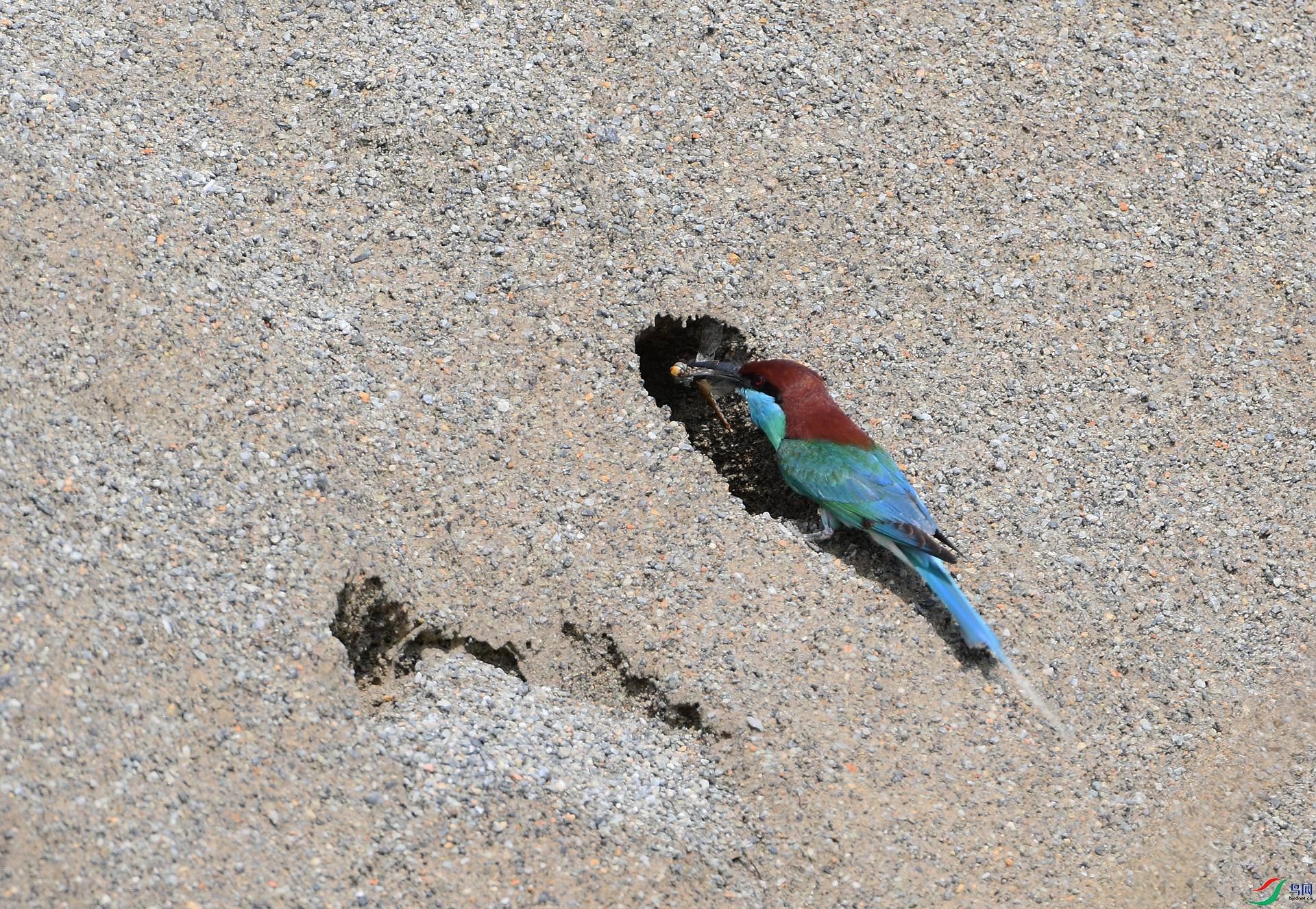 DSC_2106.jpg