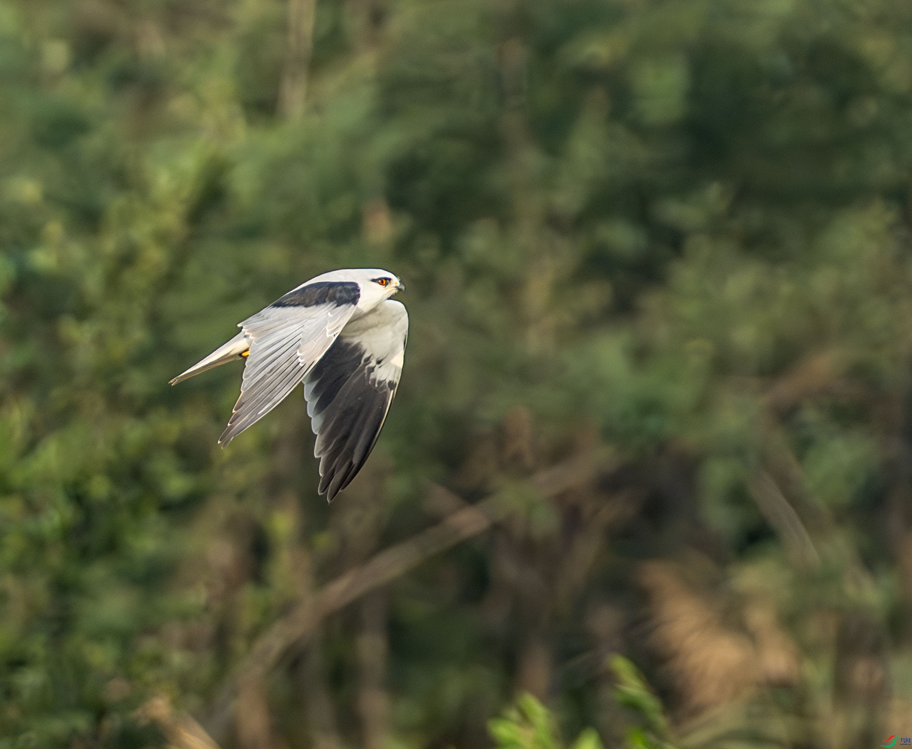 �ڳ��-35.jpg