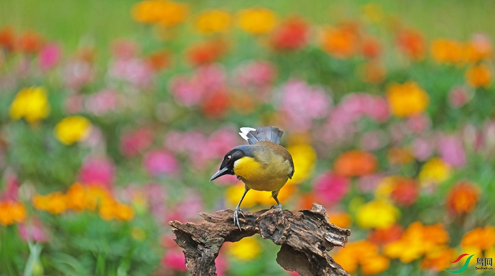DSCF6767.1.jpg