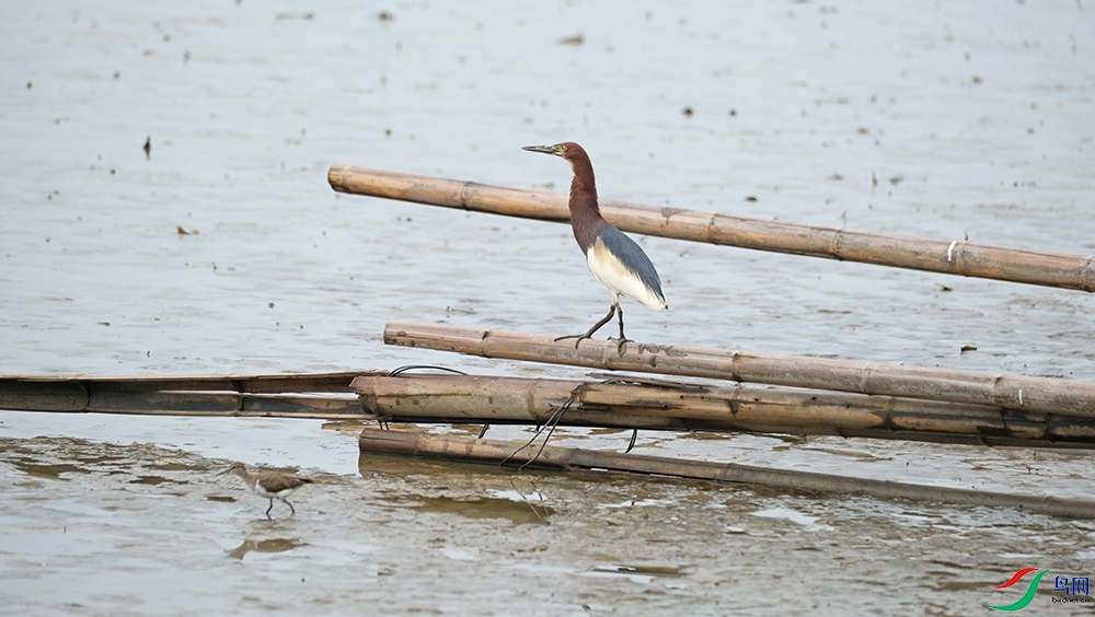 DSCF5578.1.jpg