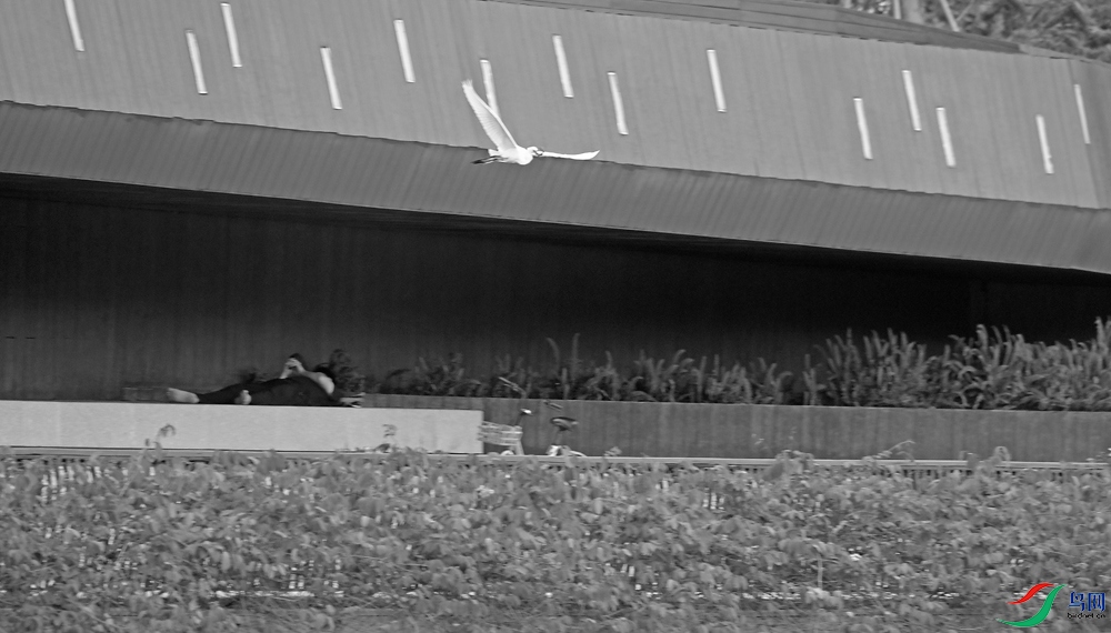 DSCF5729.1.jpg