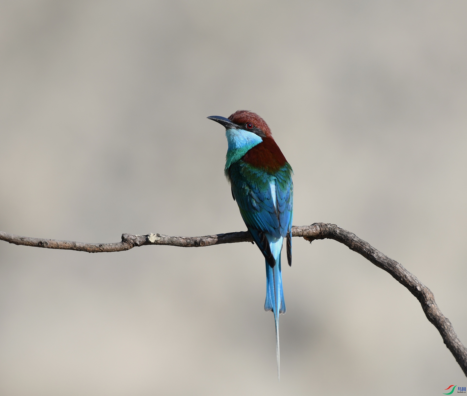 DSC_0070.jpg