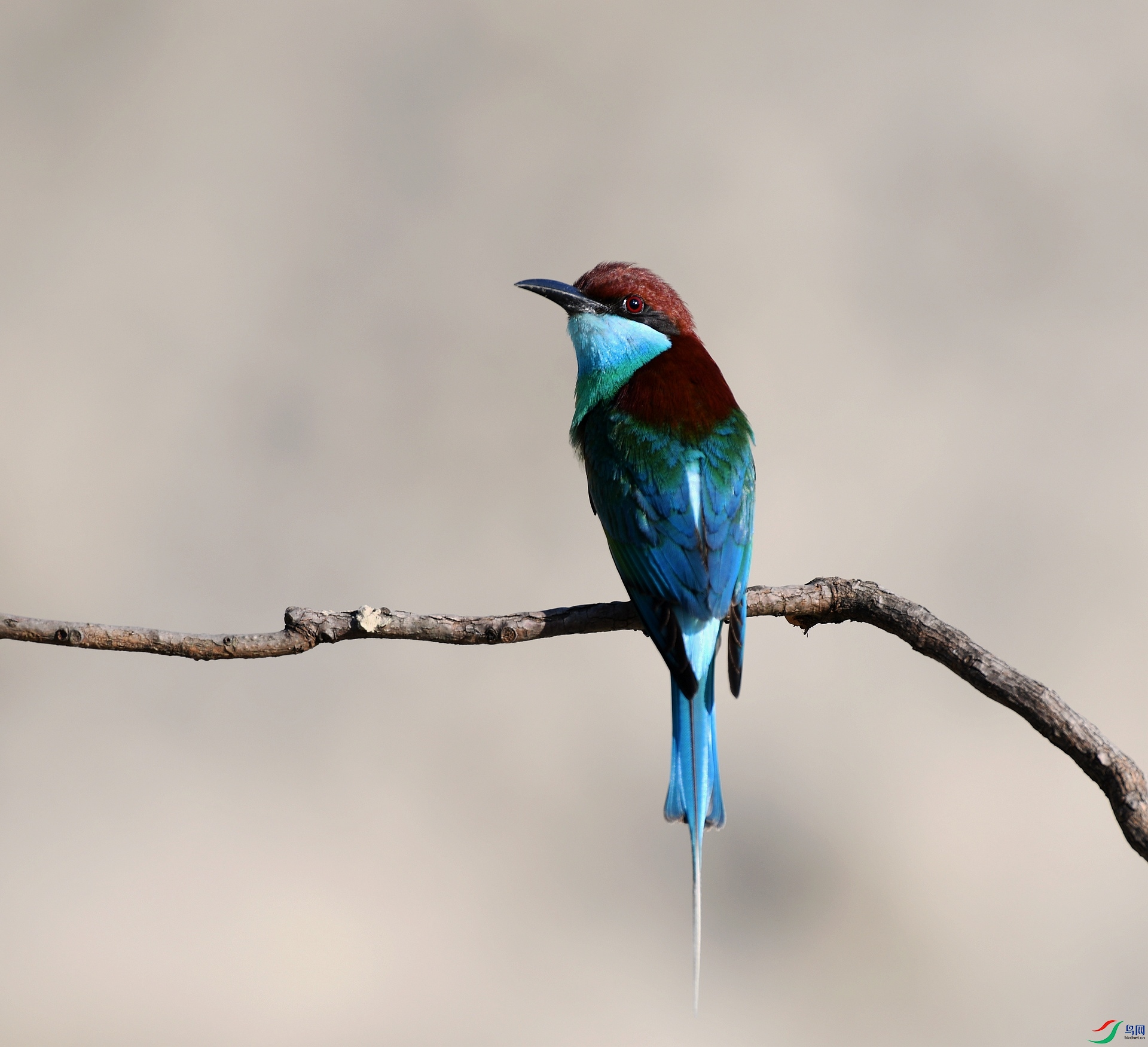 DSC_0069.jpg